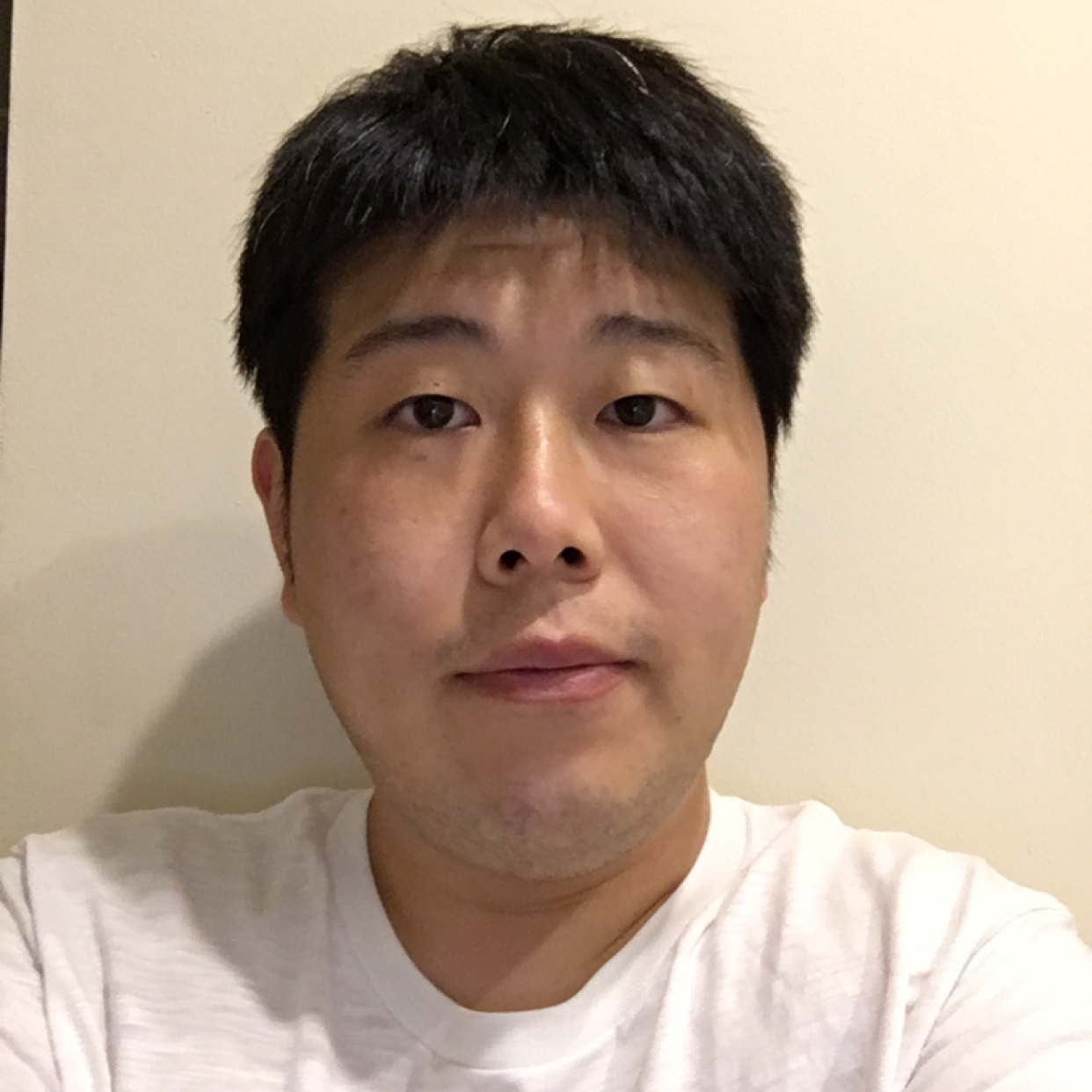 泥鸽斑马的照片