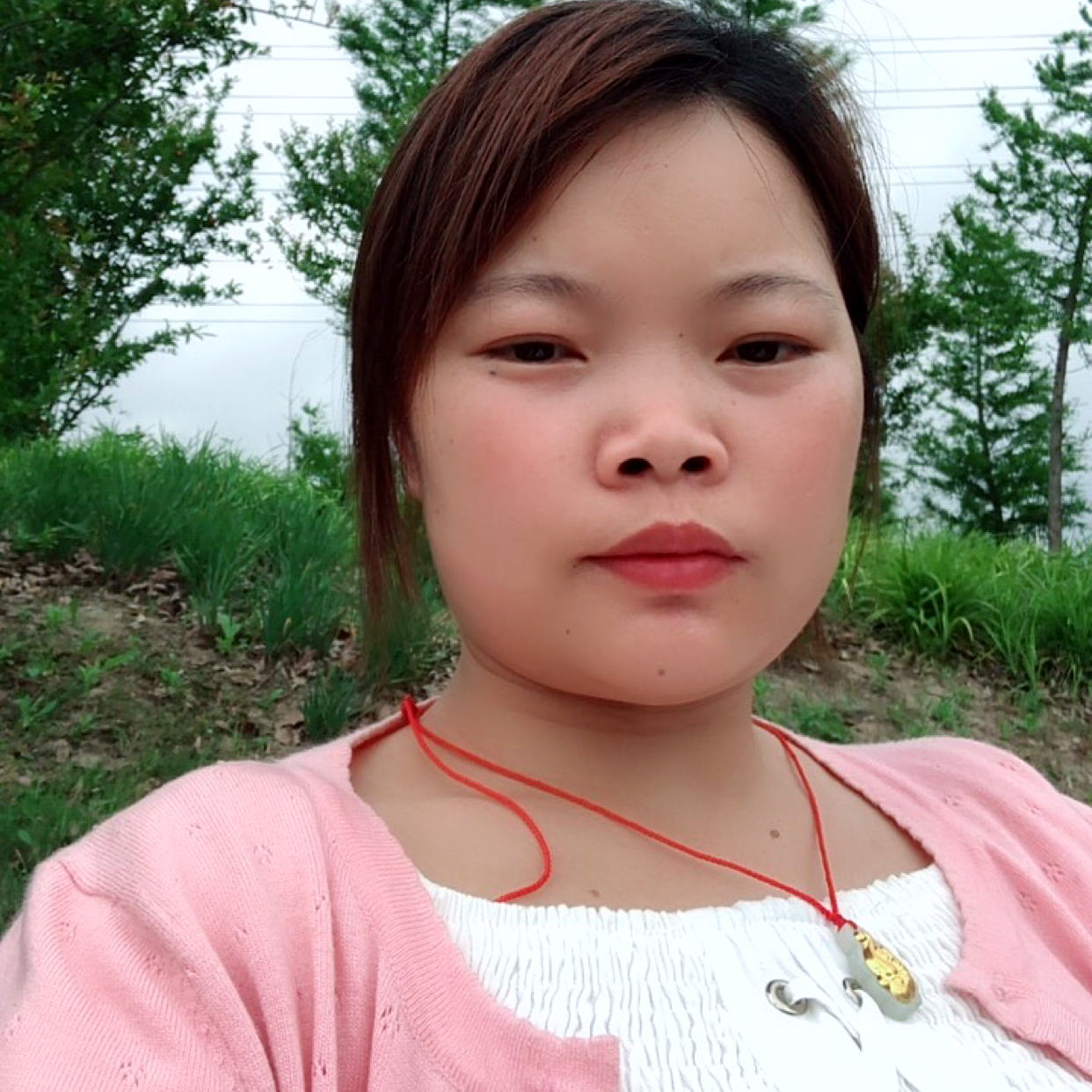 曼珠沙华的照片