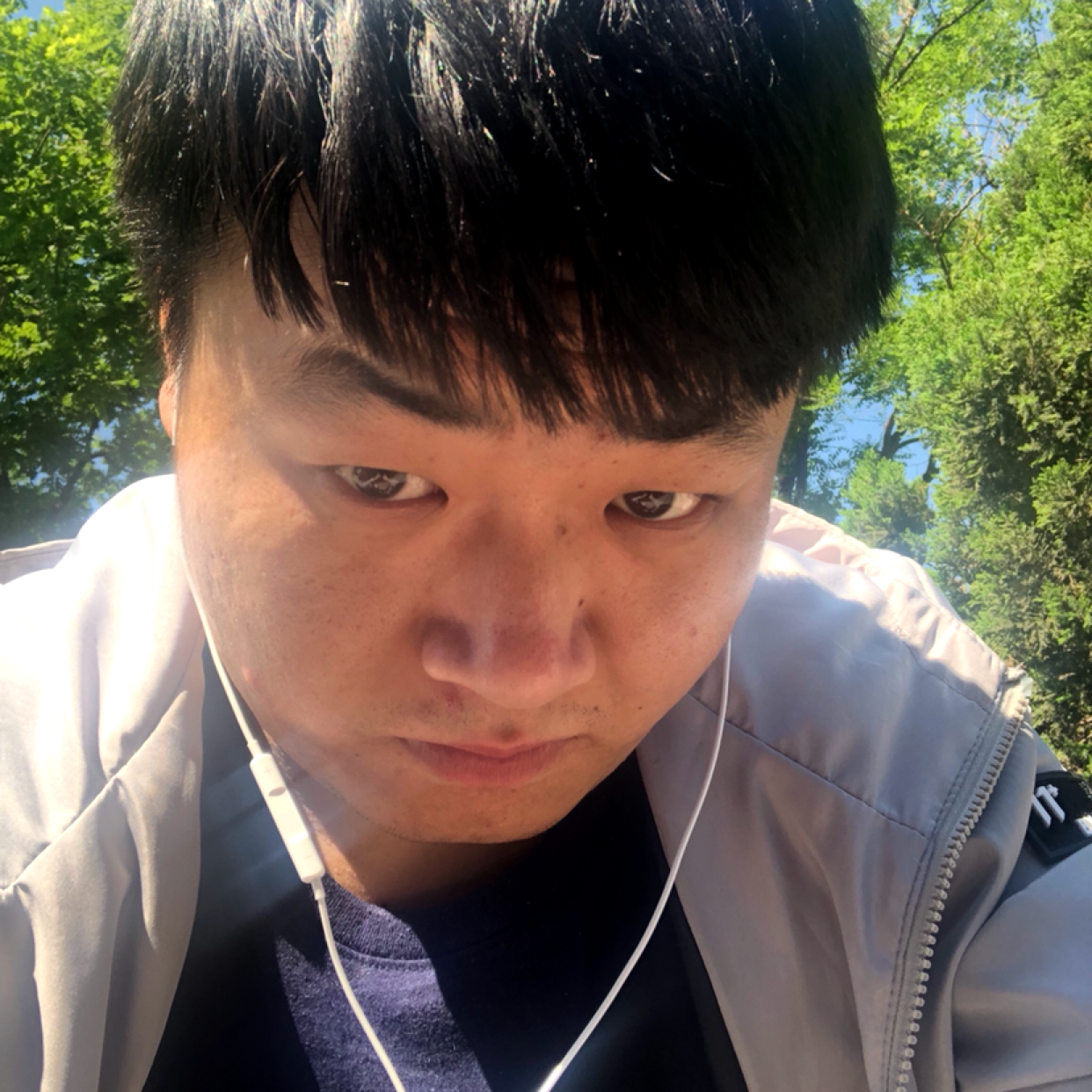 闪闪就太阳的照片