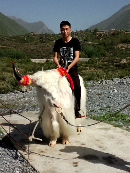 会员116671745的照片
