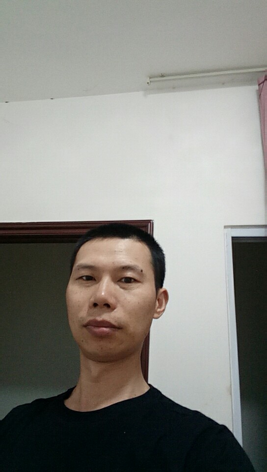 红茶树的照片