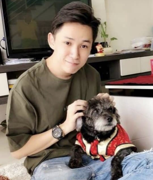 森与暖阳的照片