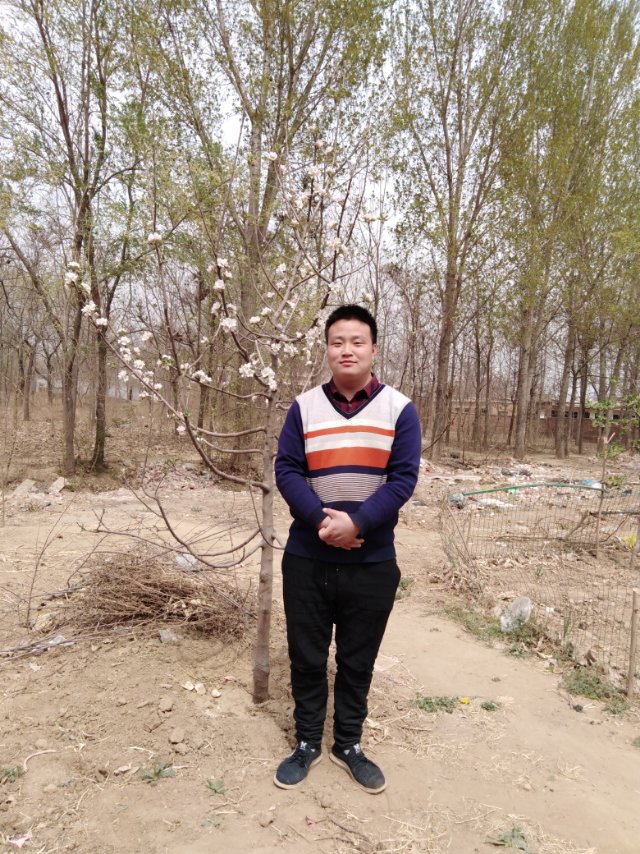会员732394340的照片