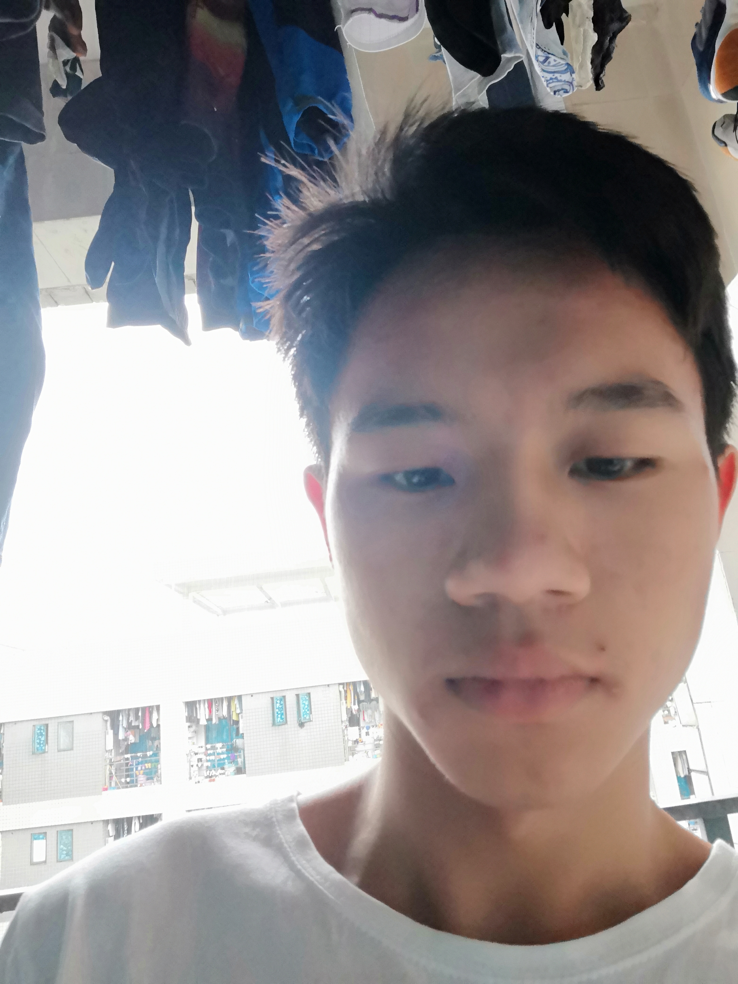 会员291466901的照片