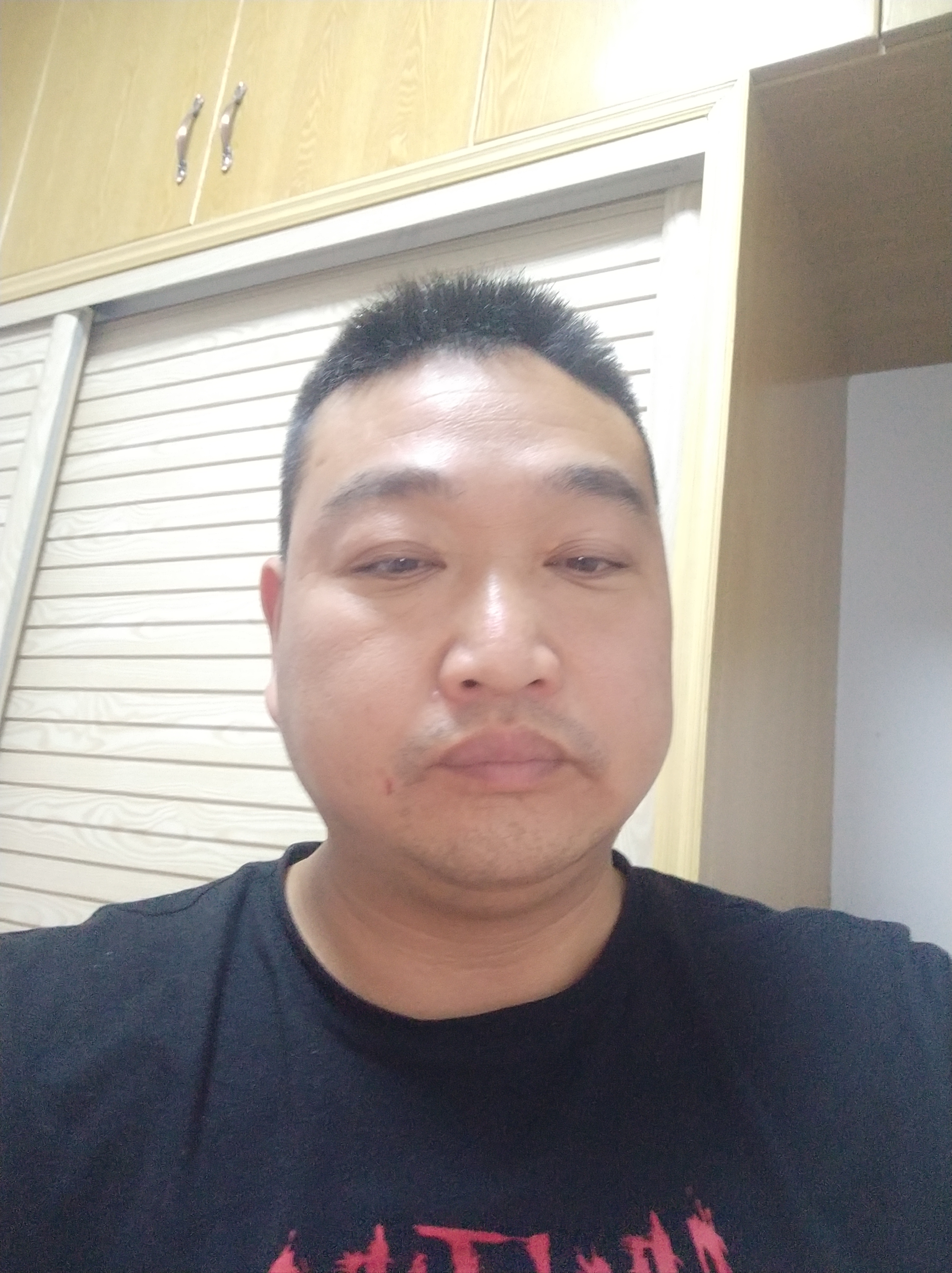 雪中飞鹰的照片