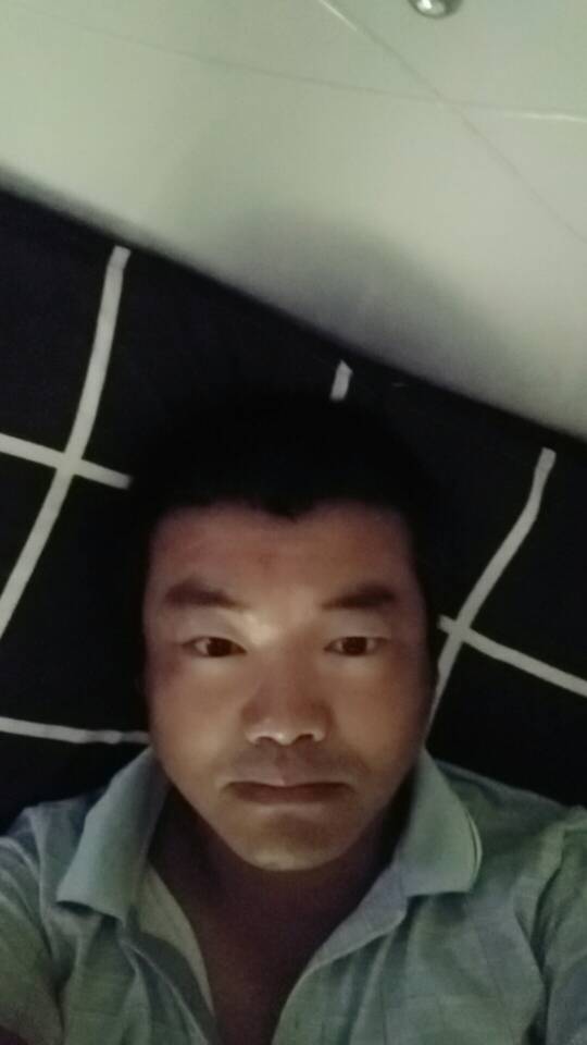 龙晶帅的照片