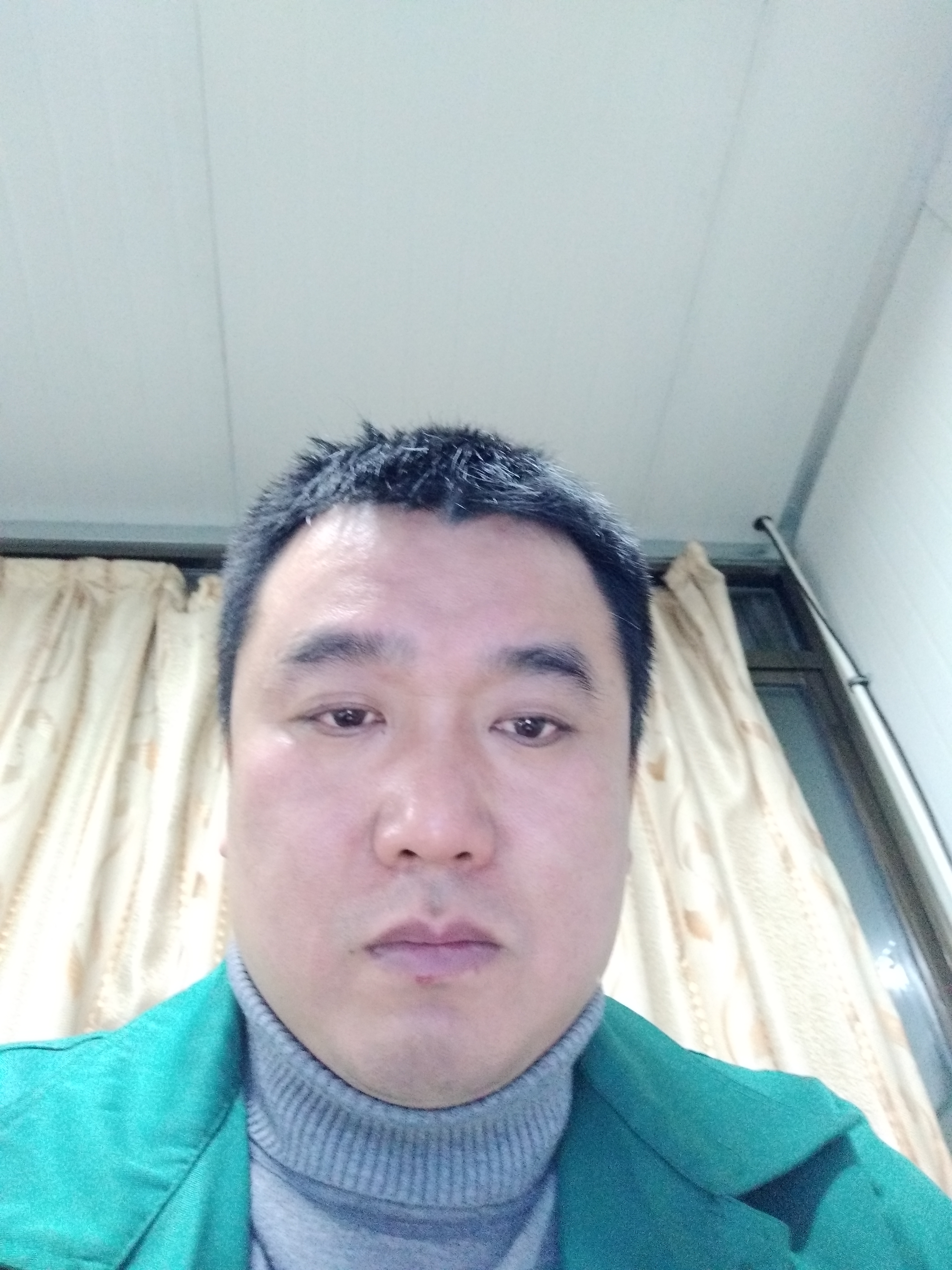 猪，猪的照片