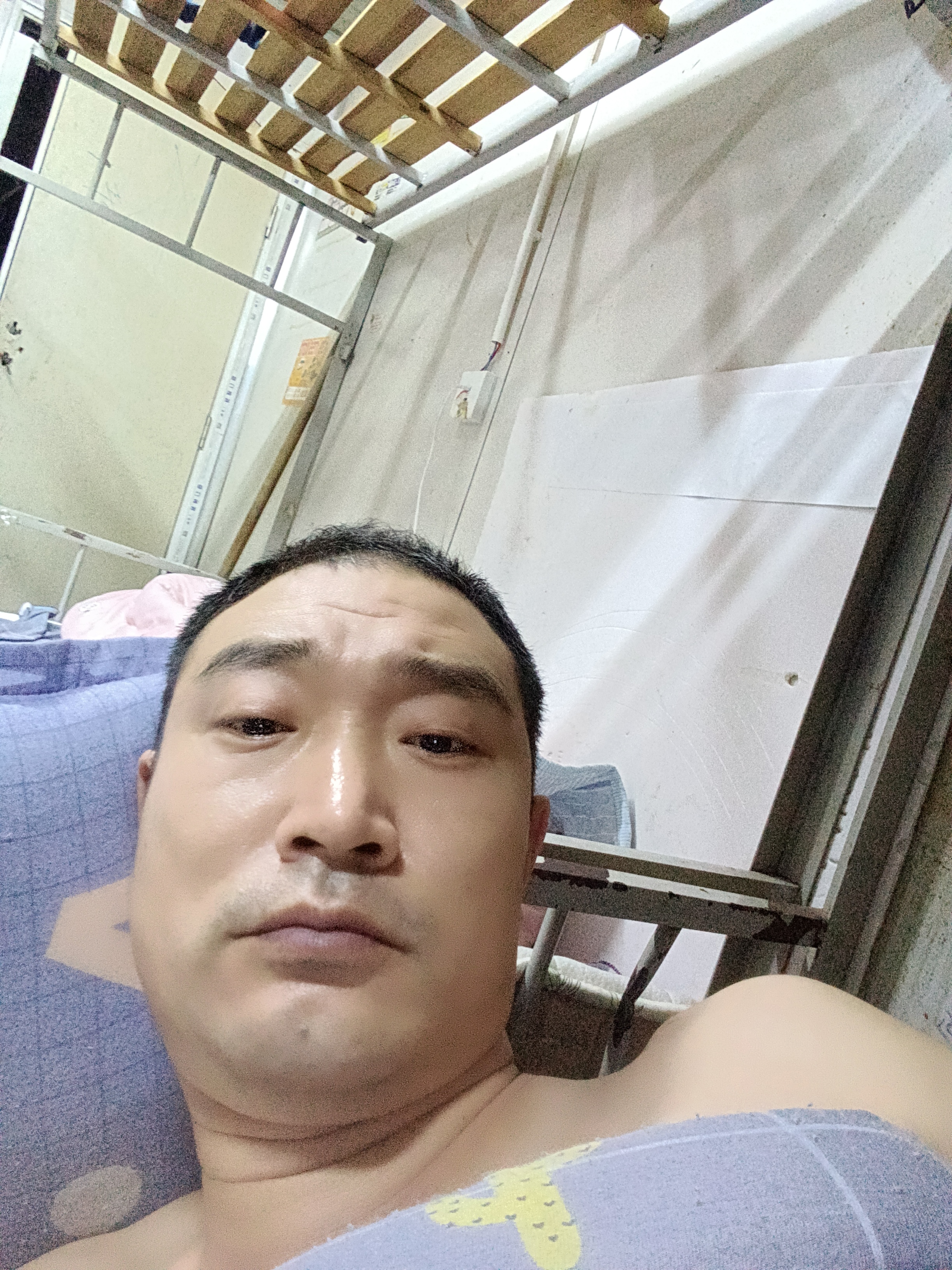 风和日丽的照片