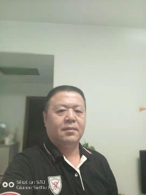 流浪的骆驼的照片