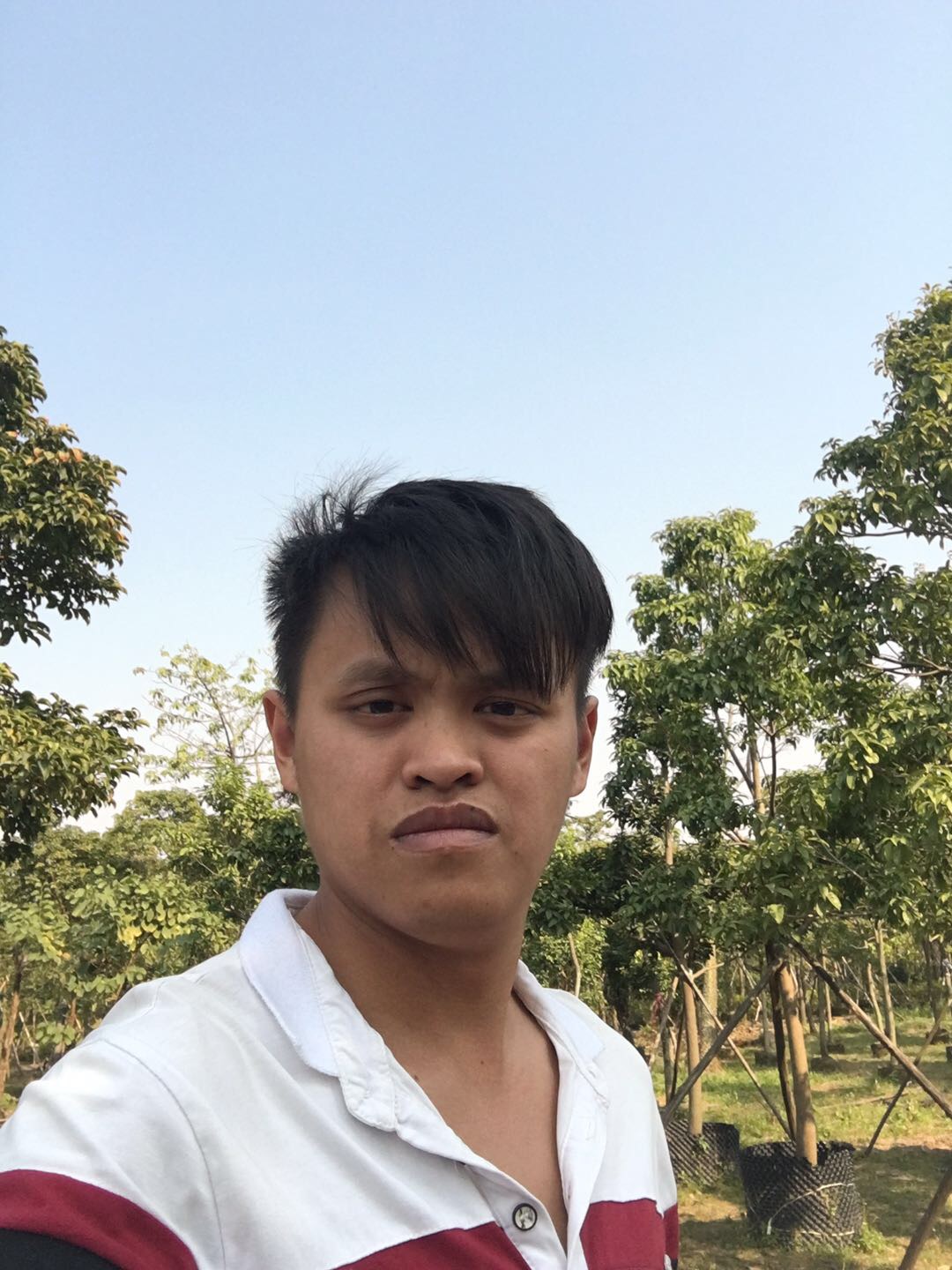 谈场永不分离恋爱的照片