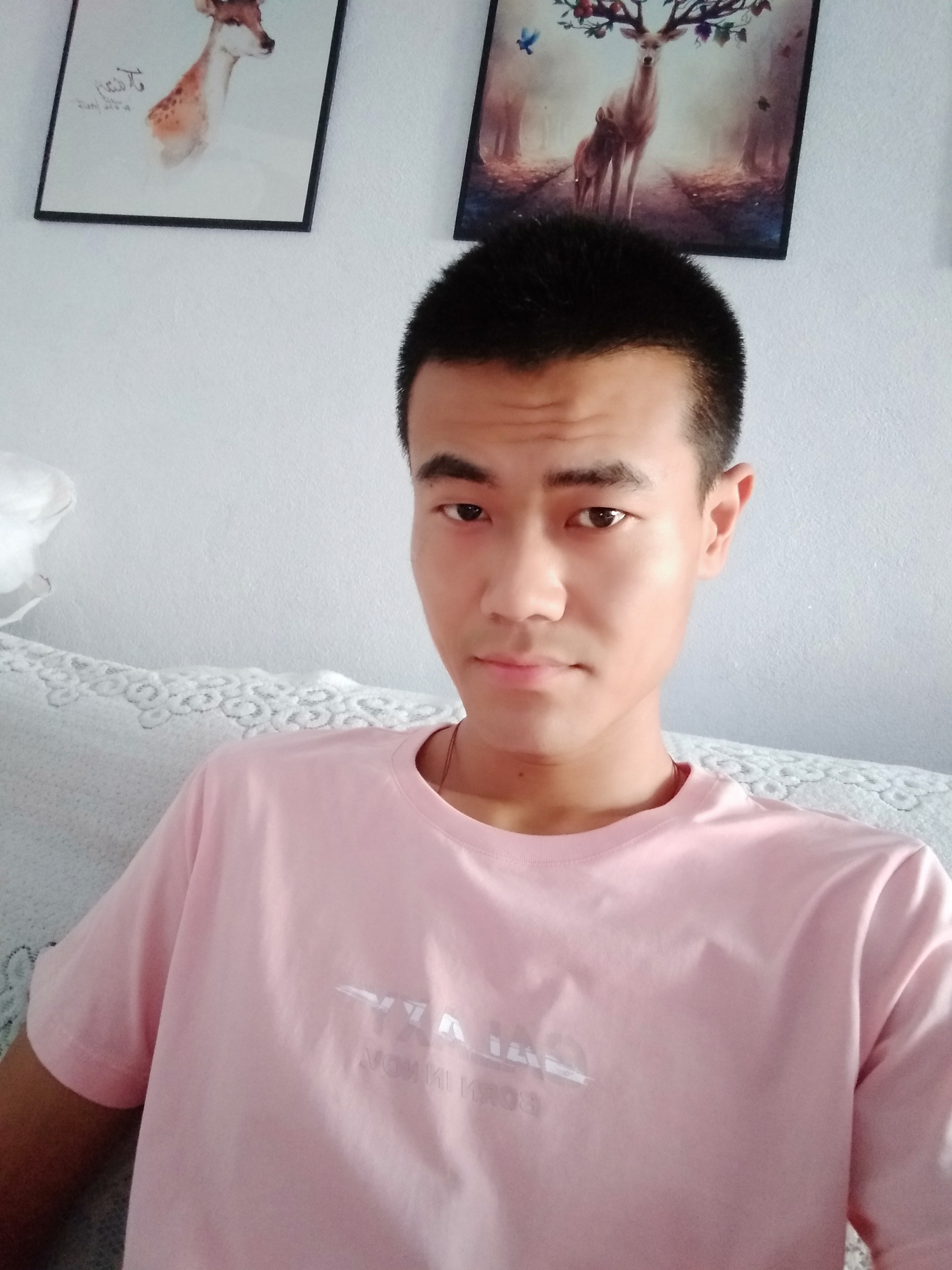 贷款买猪肉的照片