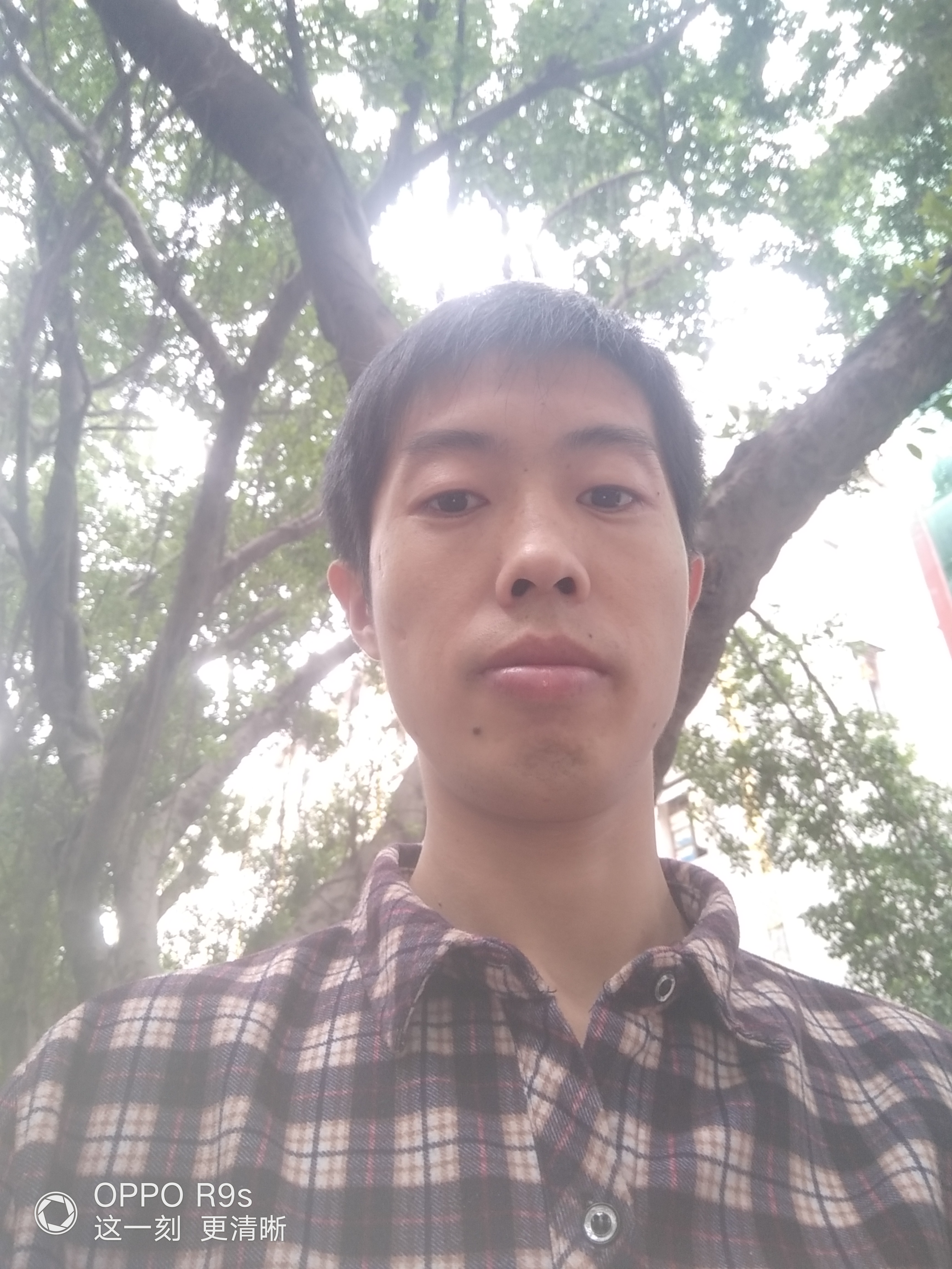 你永远在我心中的照片