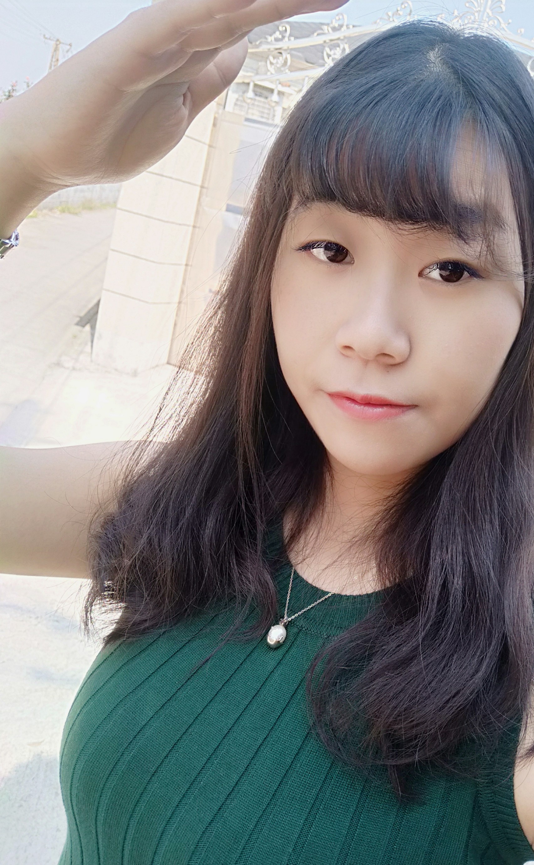 会下蛋的的照片