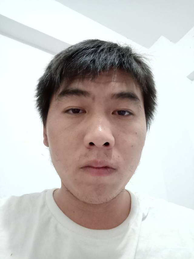 害羞大象的照片