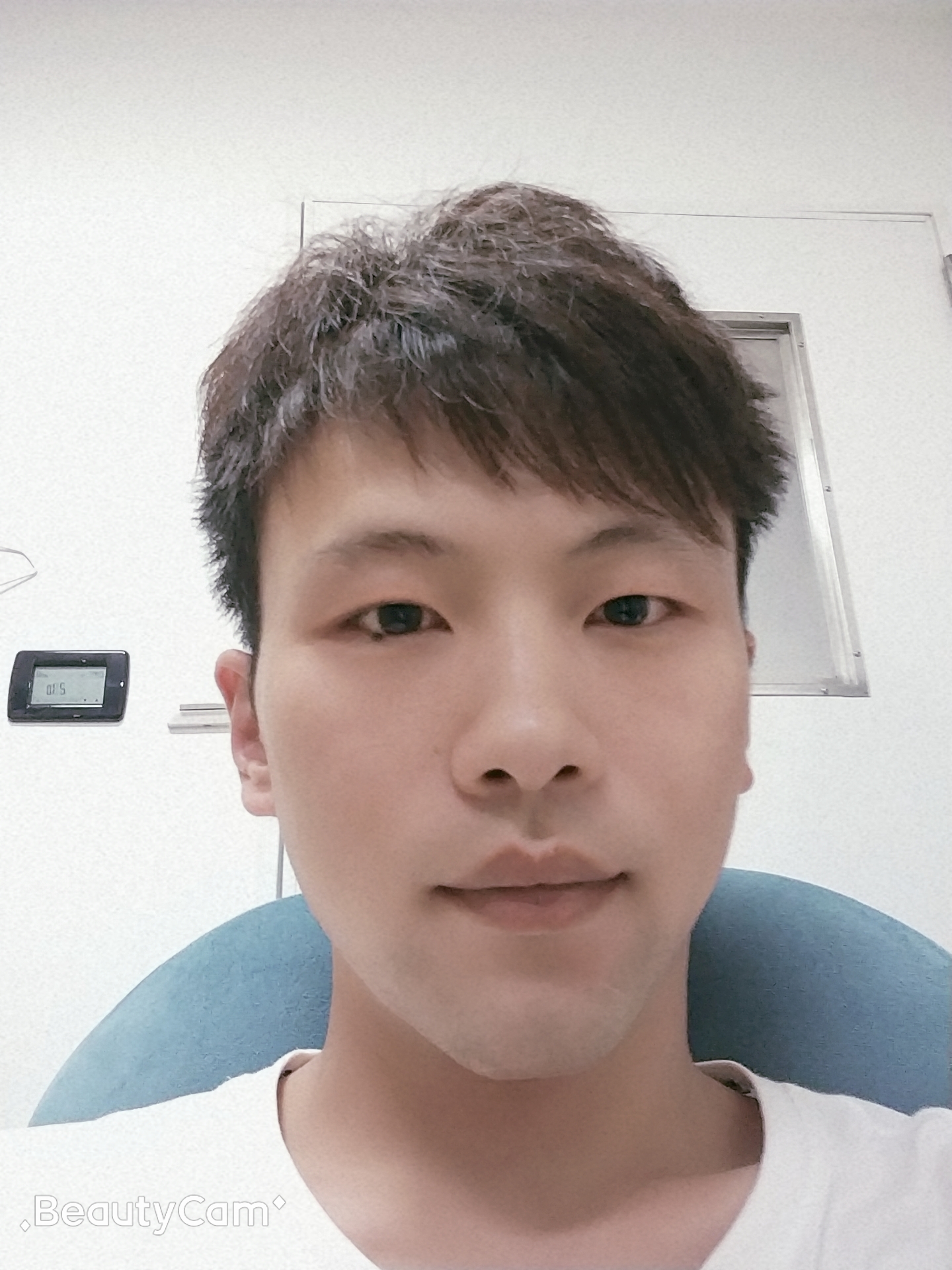 枫叶飘遴的照片