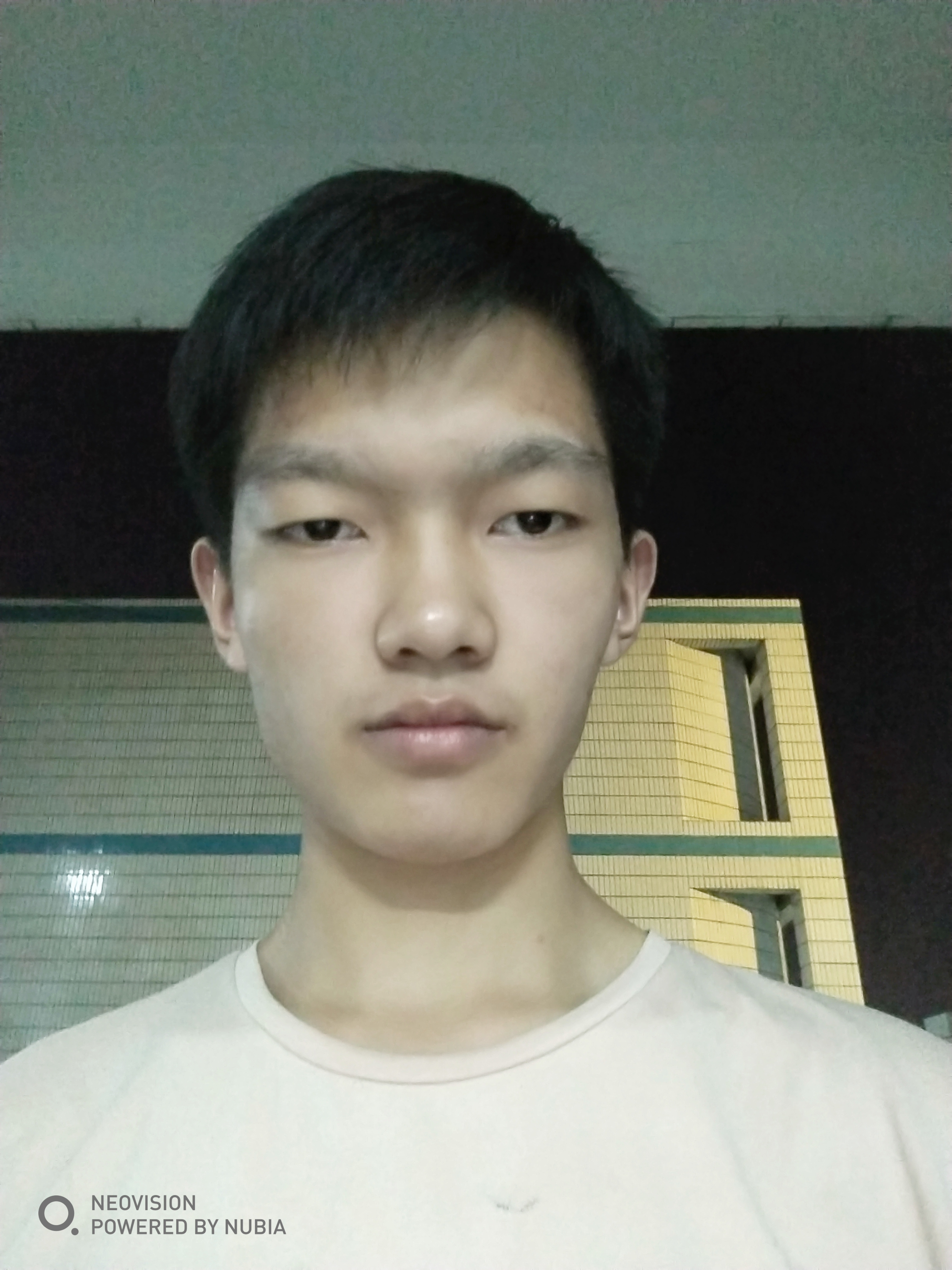 会员981299466的照片