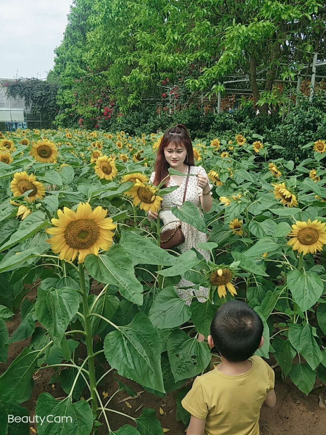 会员014111614的照片