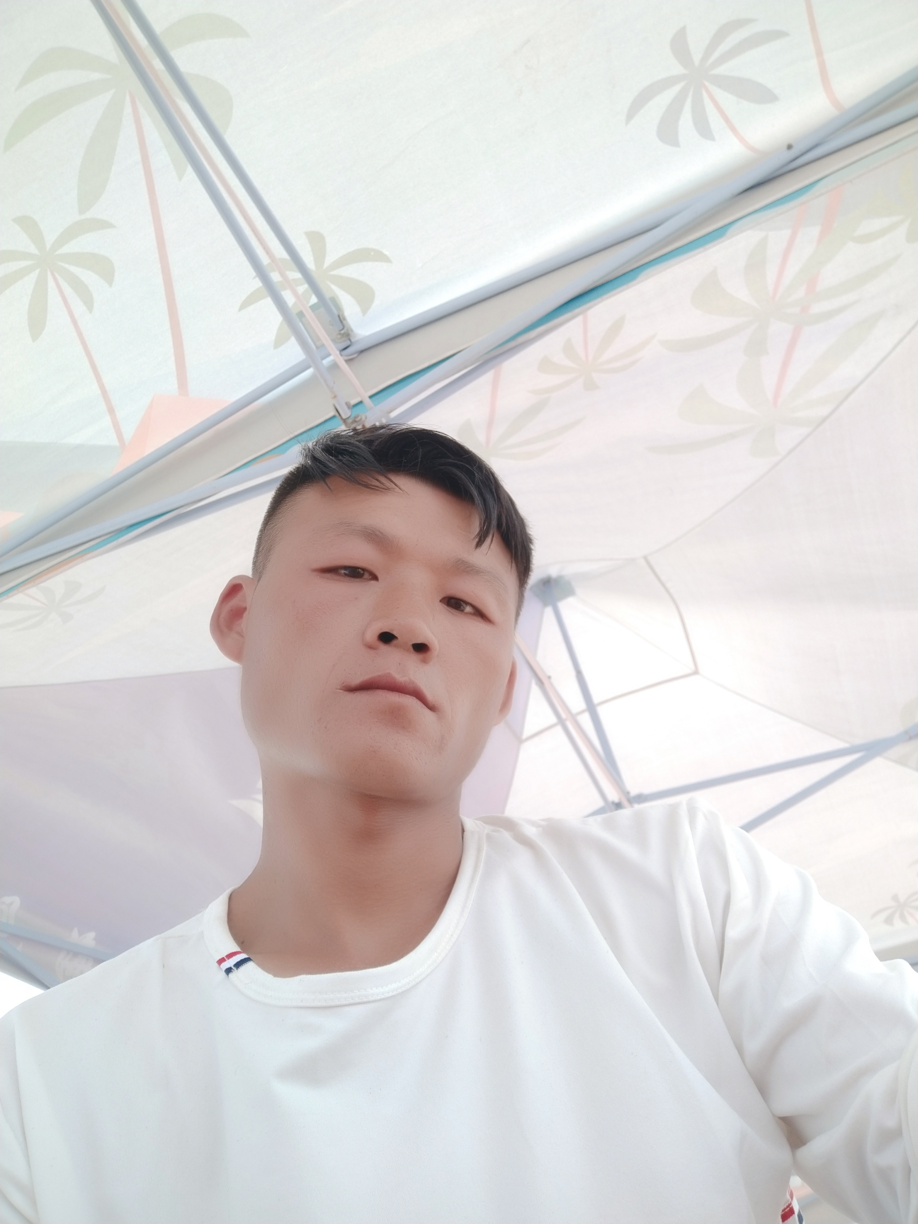 会员953025333的照片