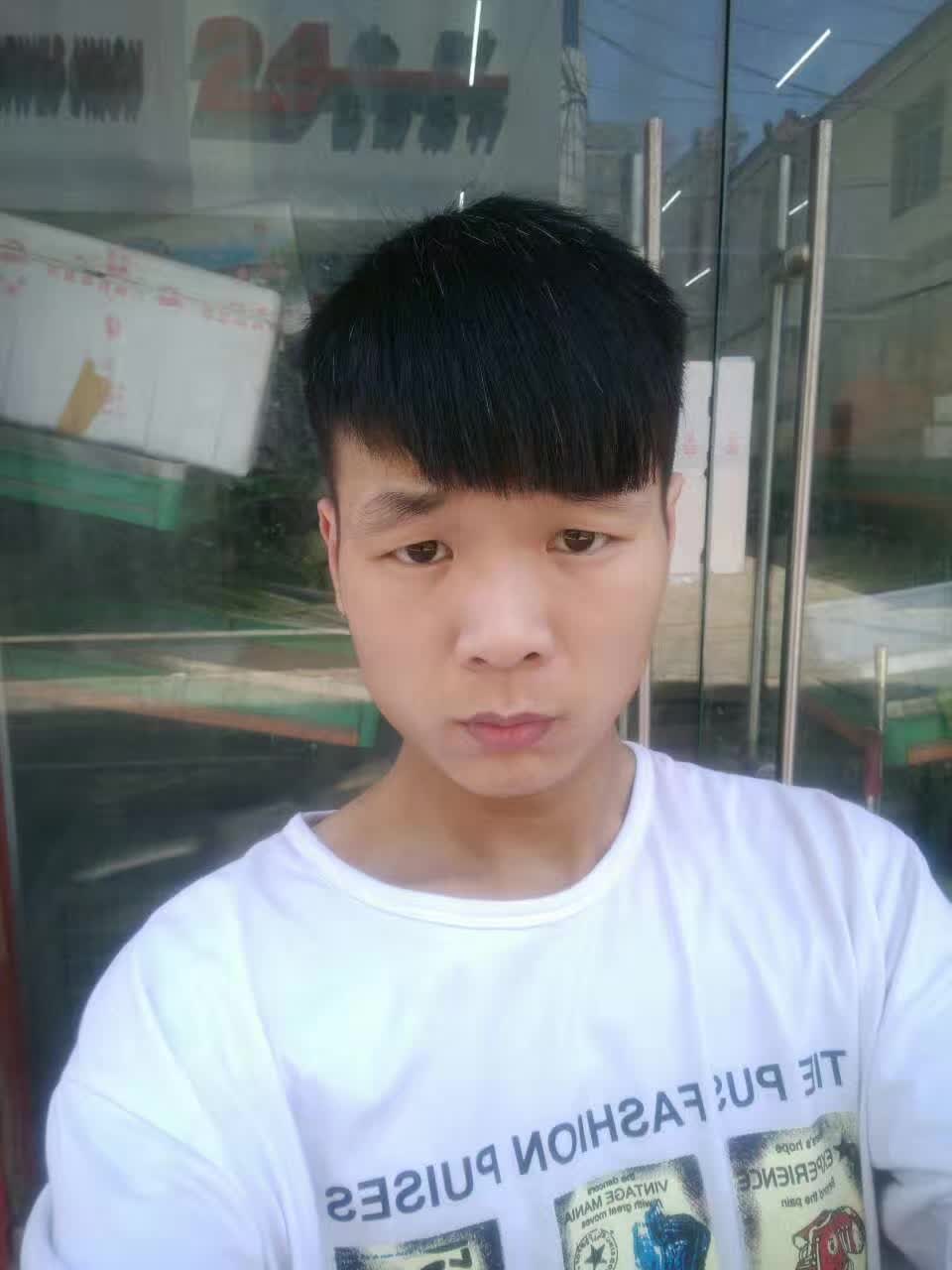 蓬的照片