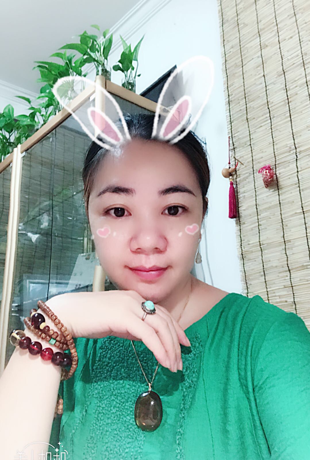 桔菊的照片