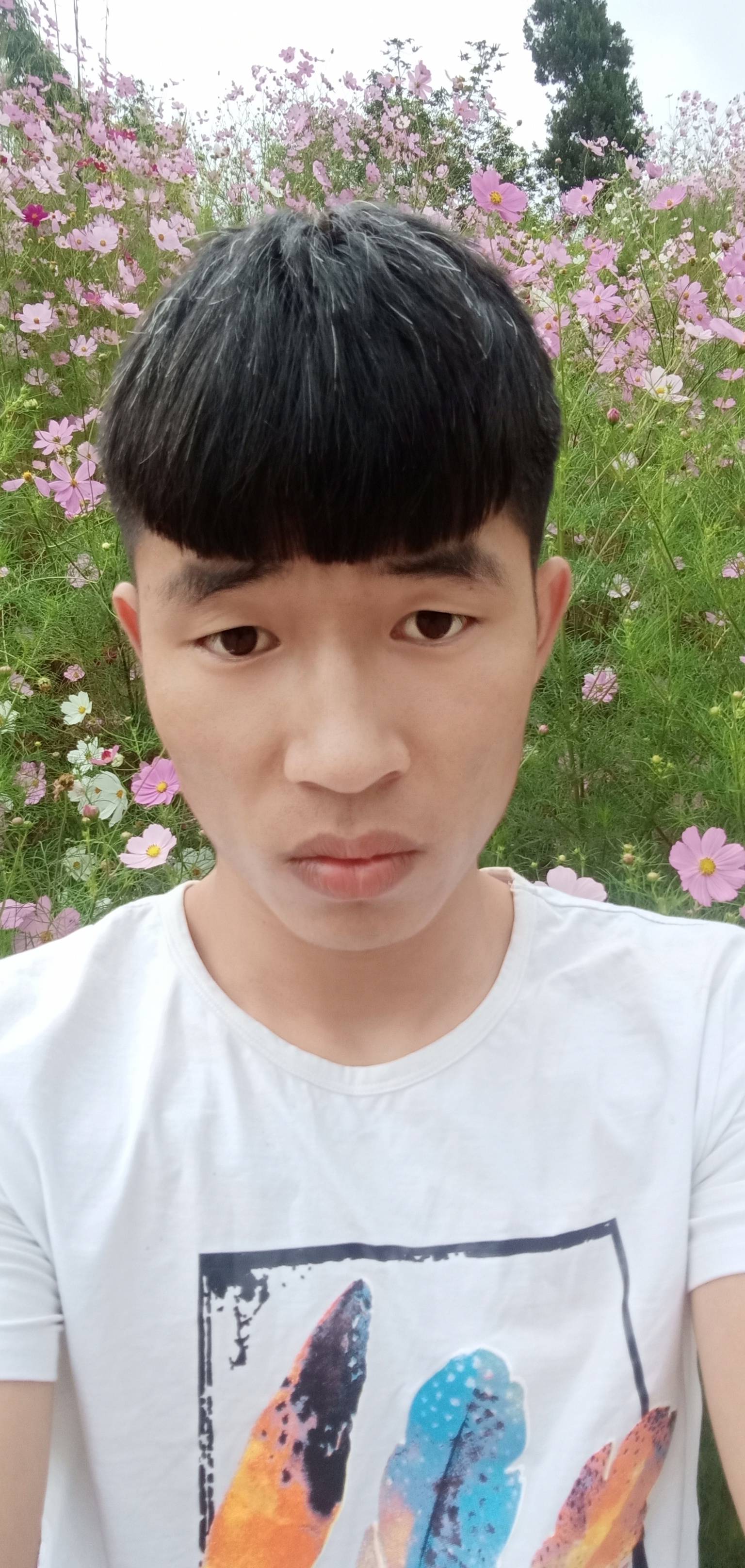 会员700647181的照片