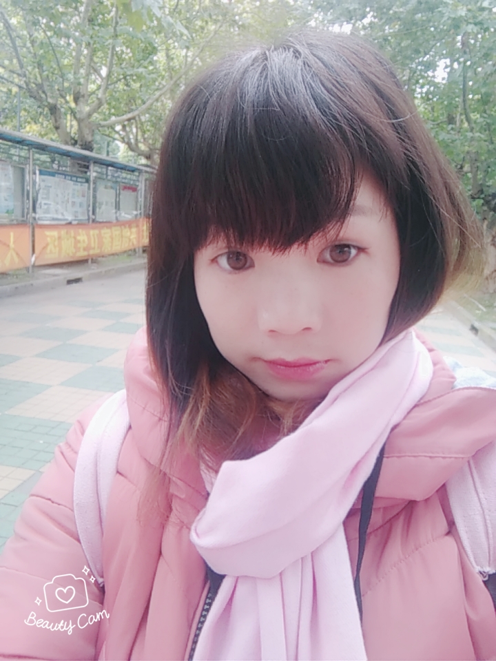 我呆猪的照片