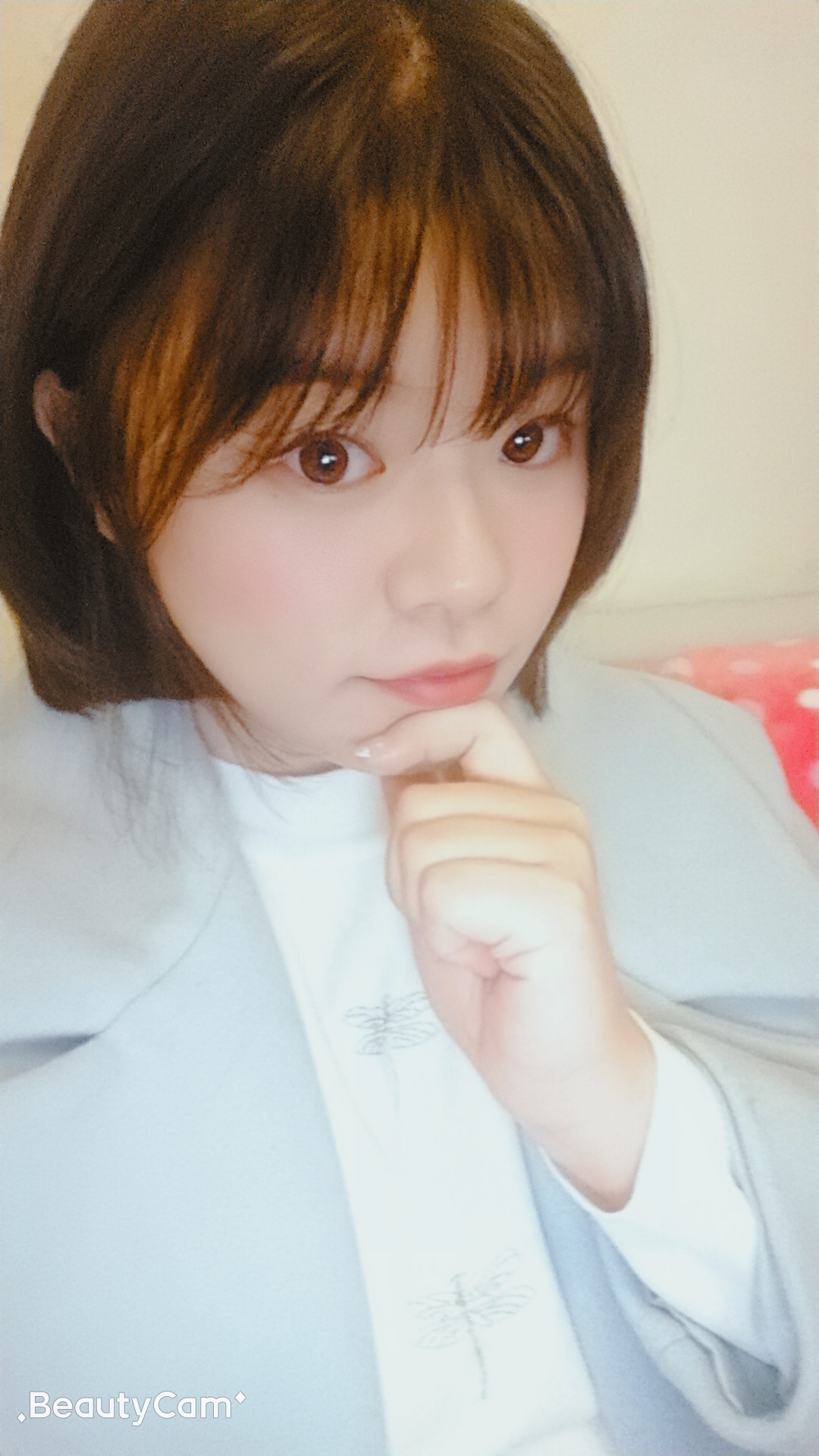 黄鹂鸟的歌声的照片
