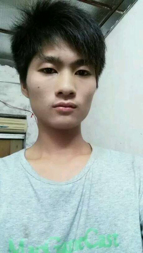 囮鳷的照片
