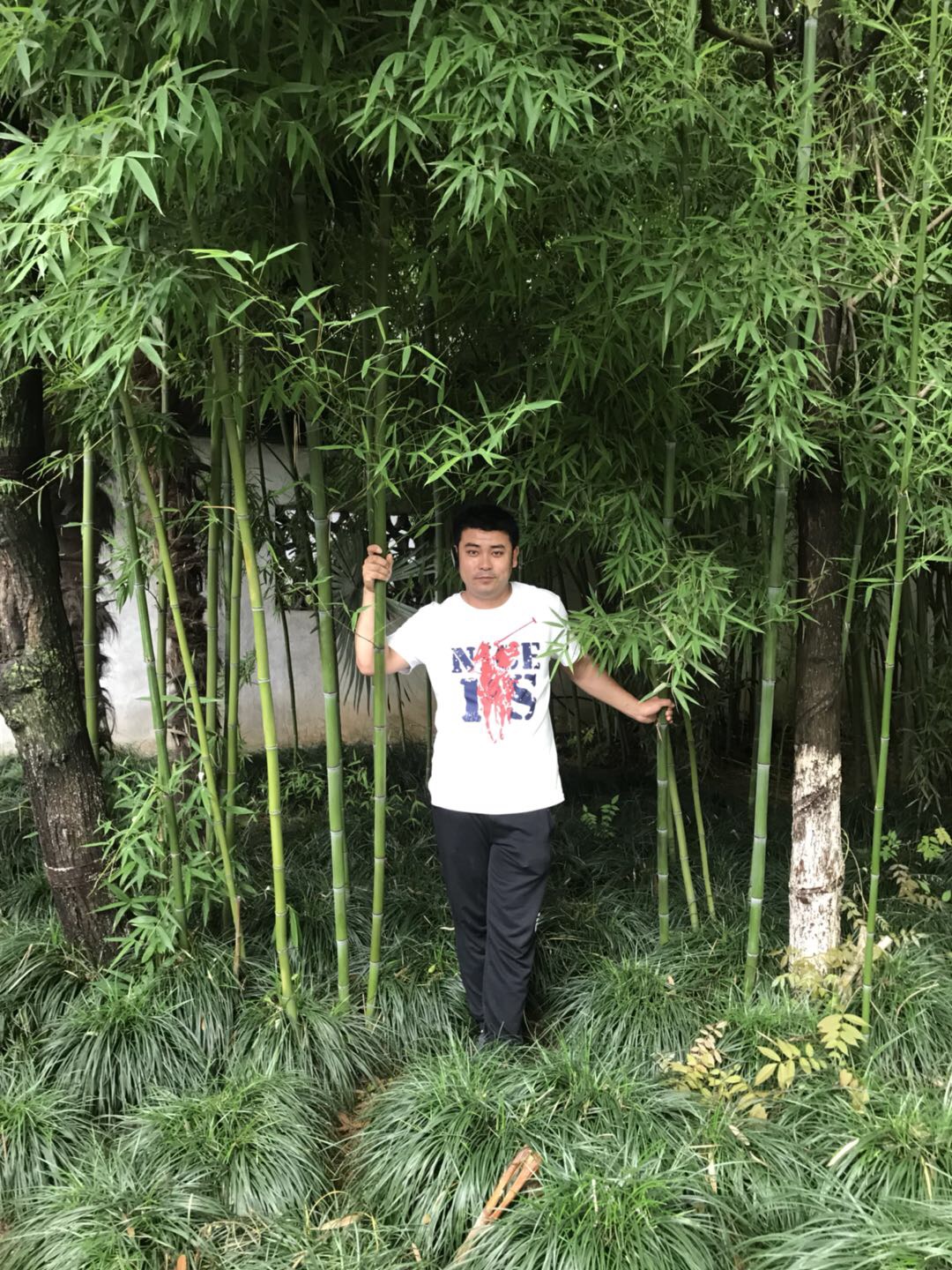 会员916385508的照片