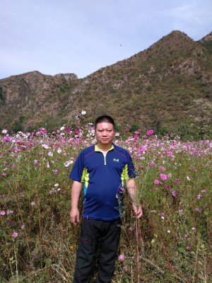 会员811890890的照片