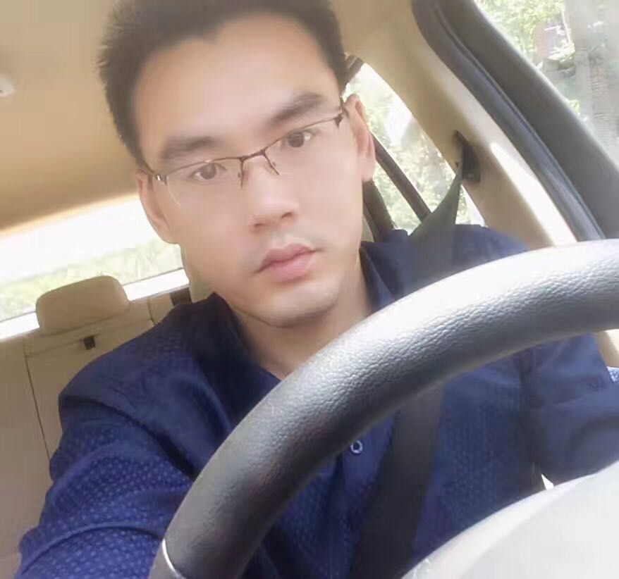 金银宝猪的照片