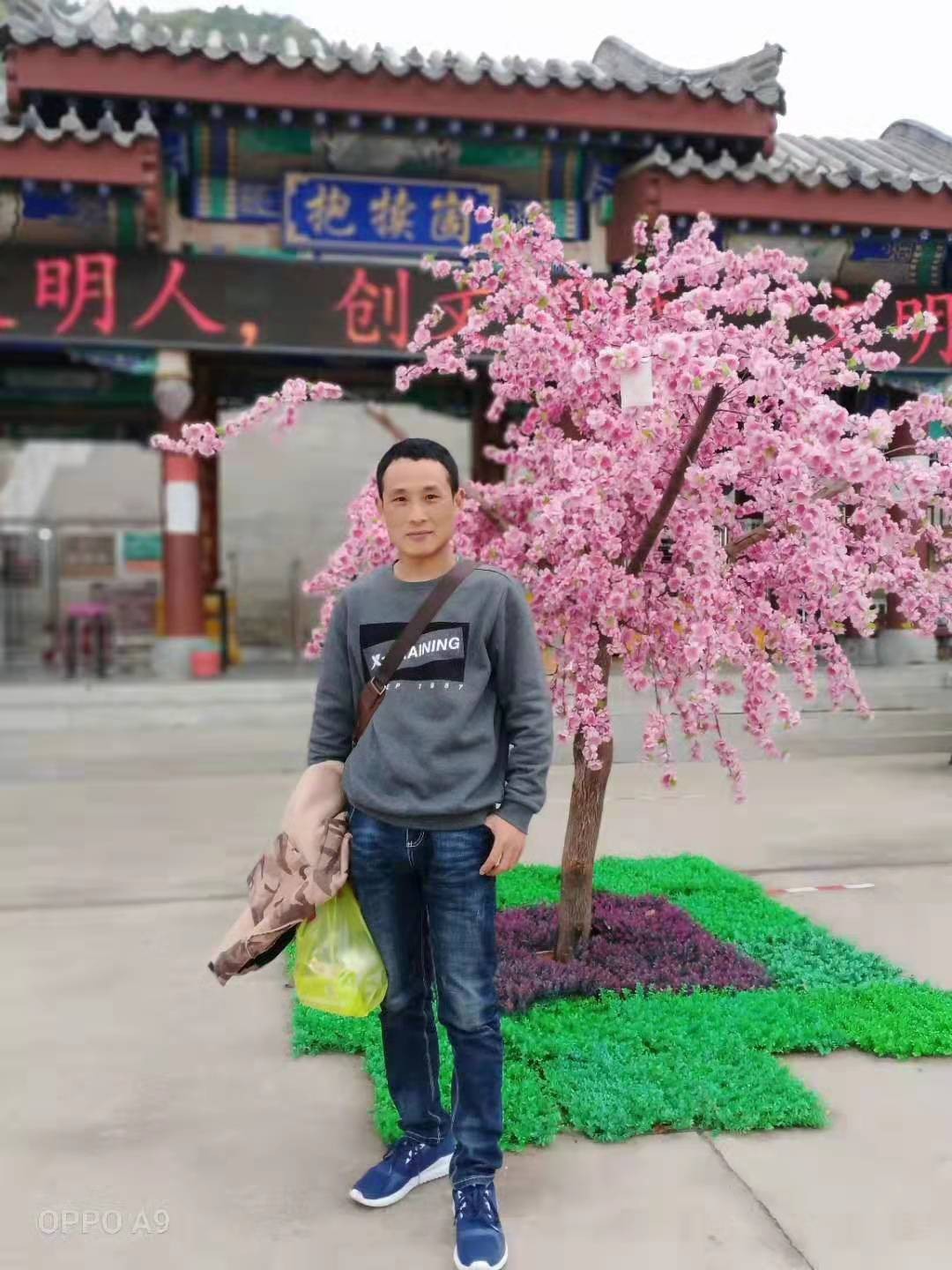 会员443392036的照片