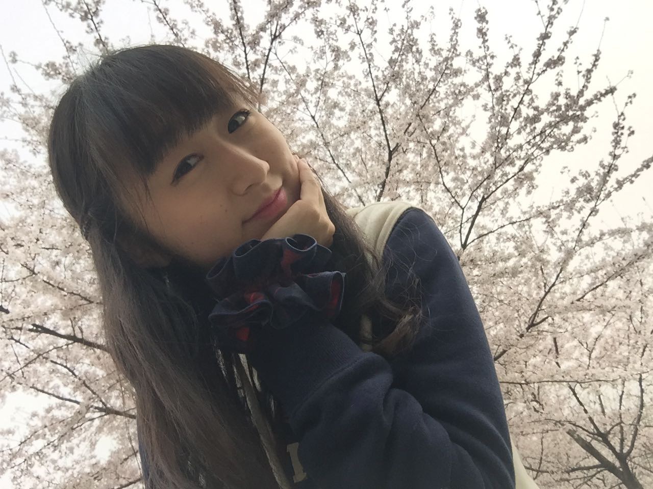 会员756926783的照片