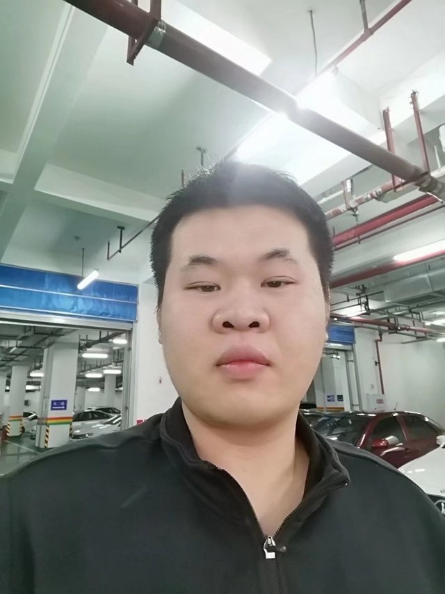 墨柳的照片
