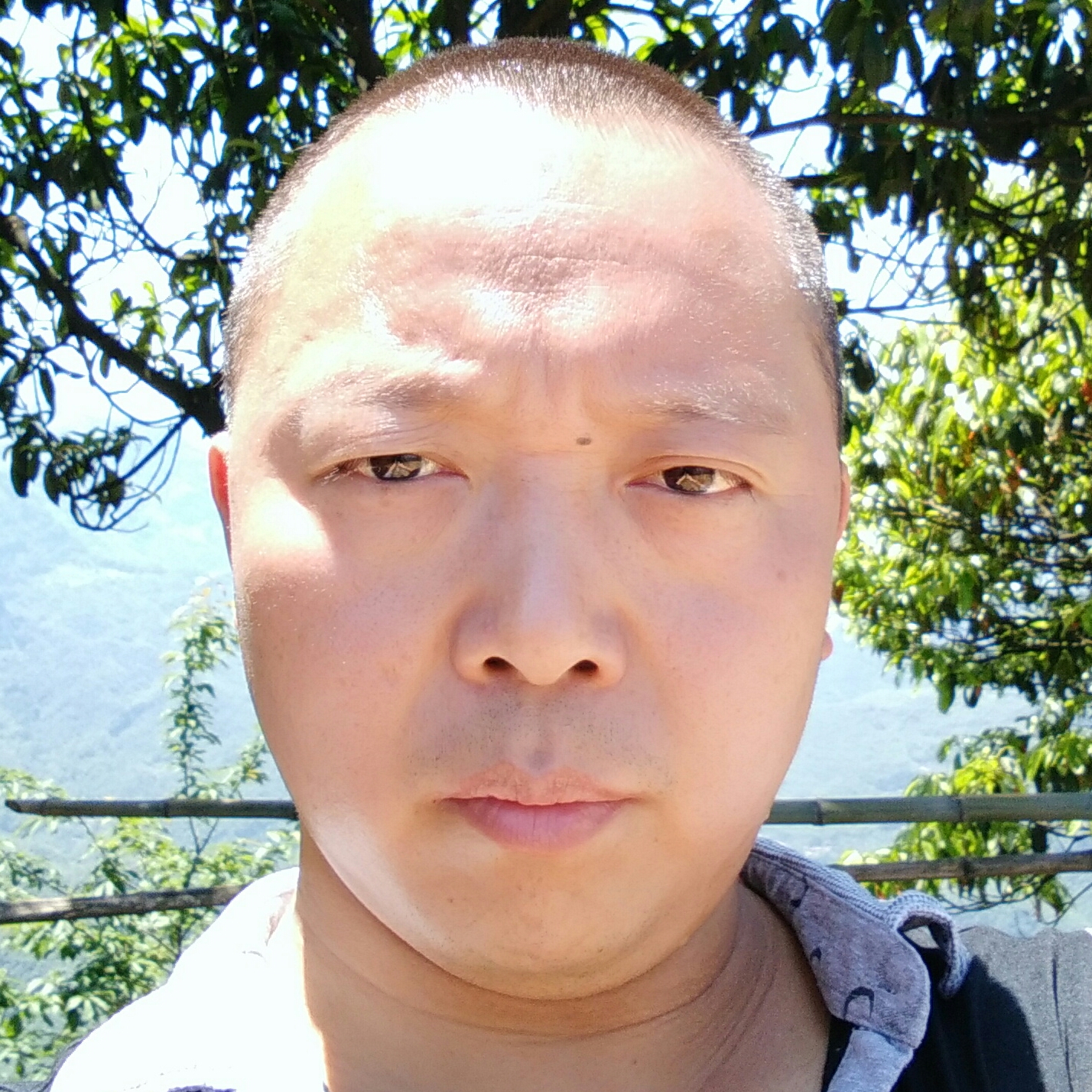 蜀南竹海的照片