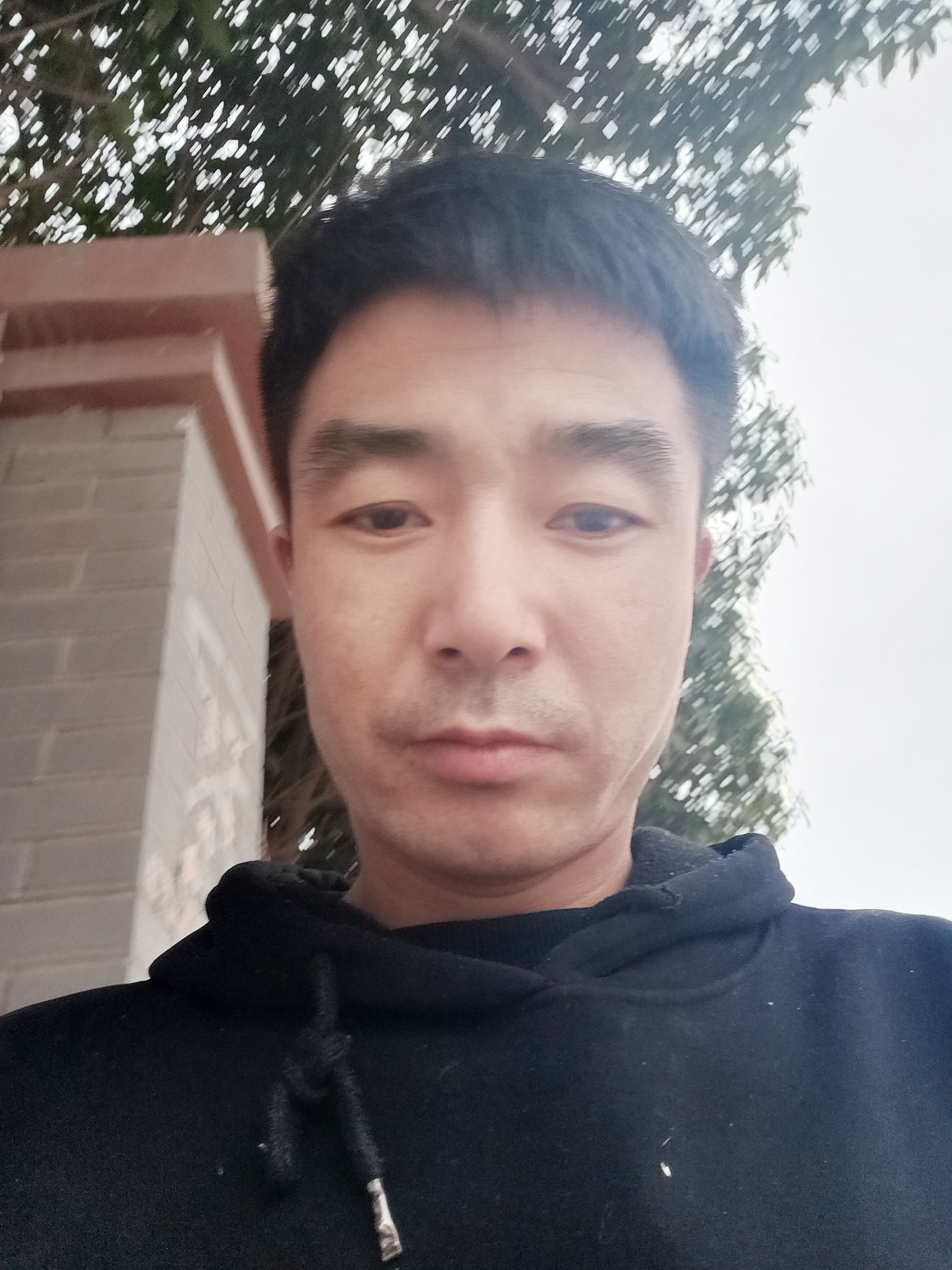 野郎君的照片