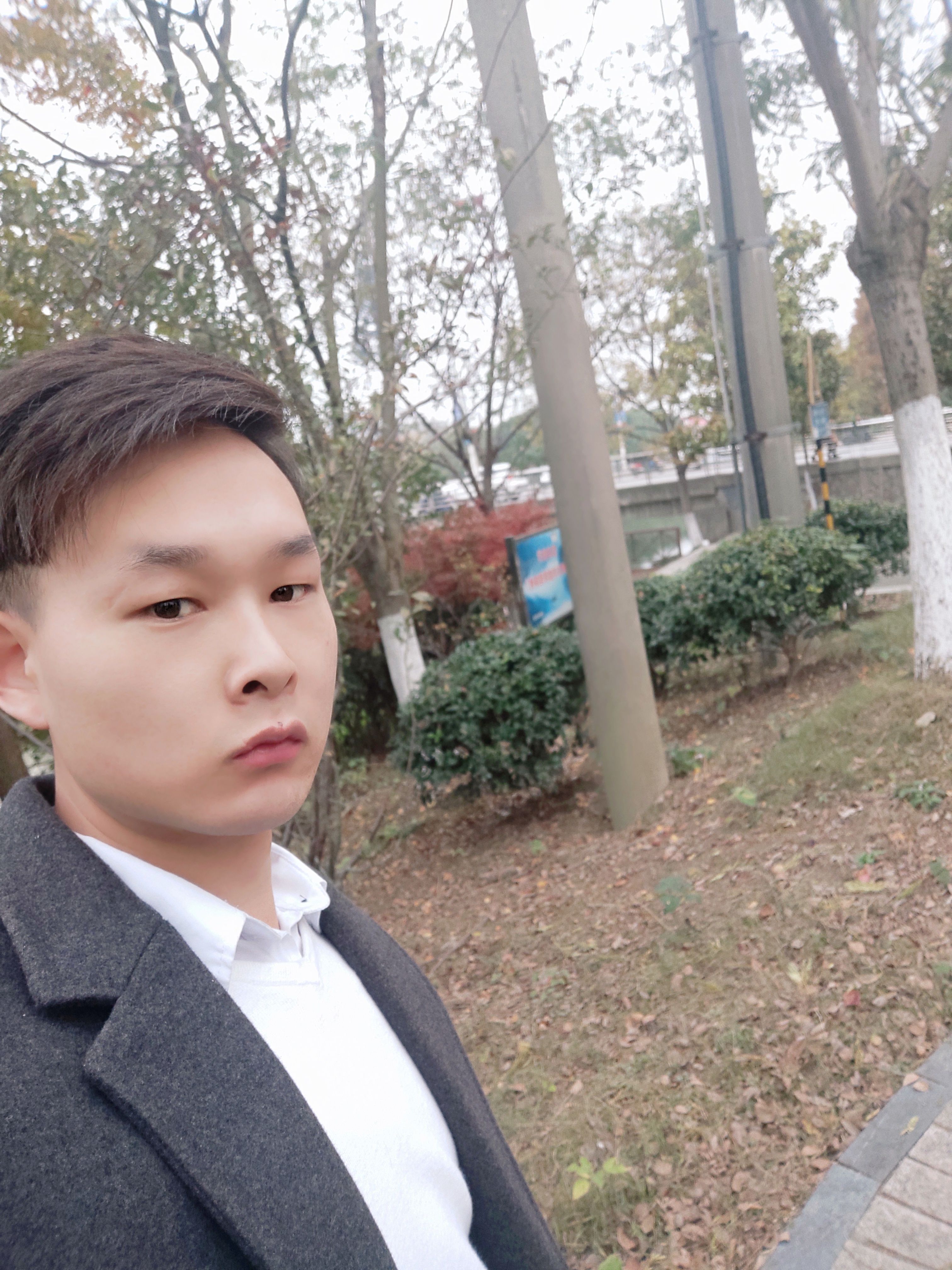 柠檬少主的照片