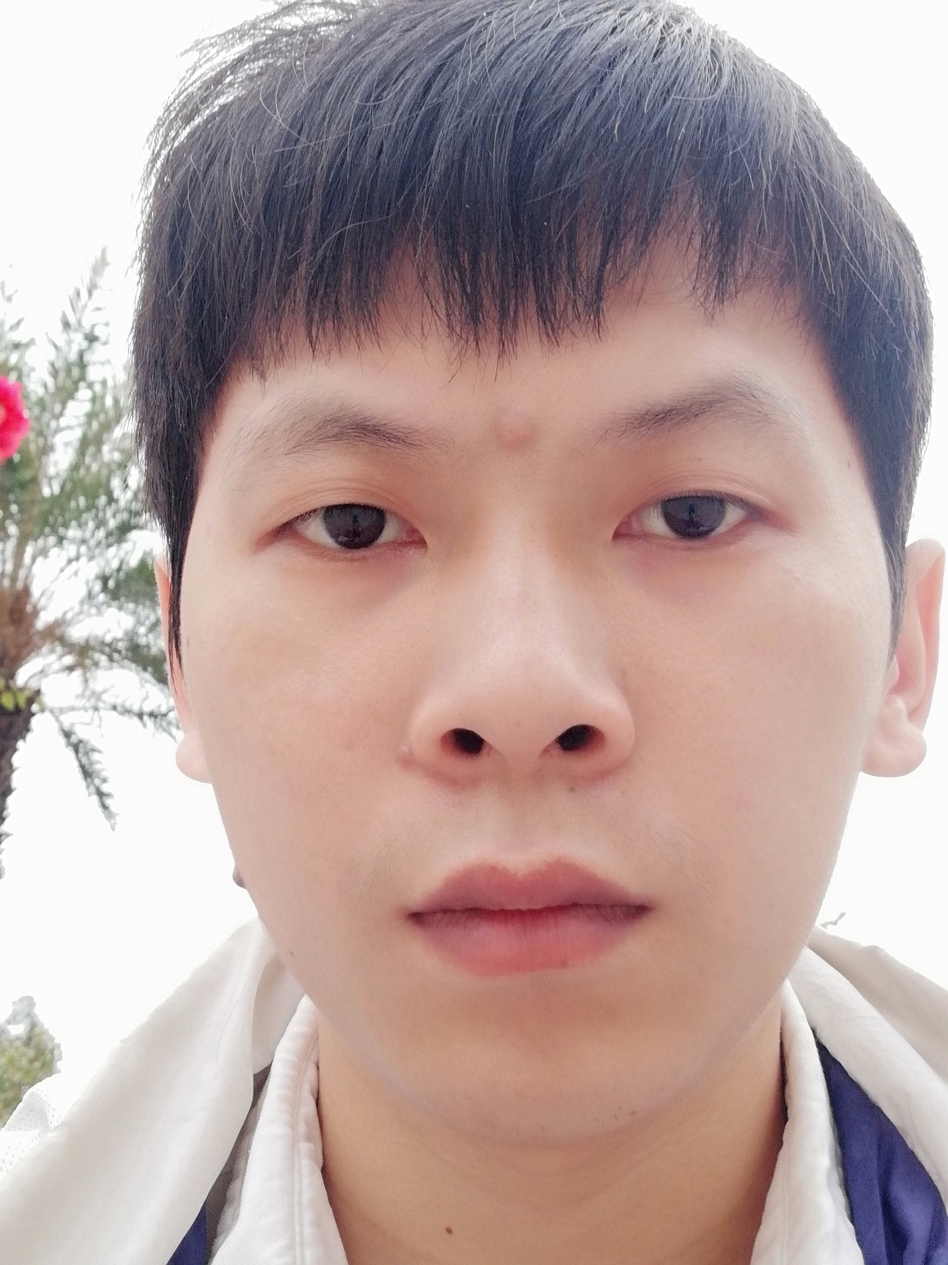 迷失的时光的照片