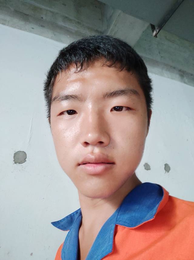猪猪乖？的照片