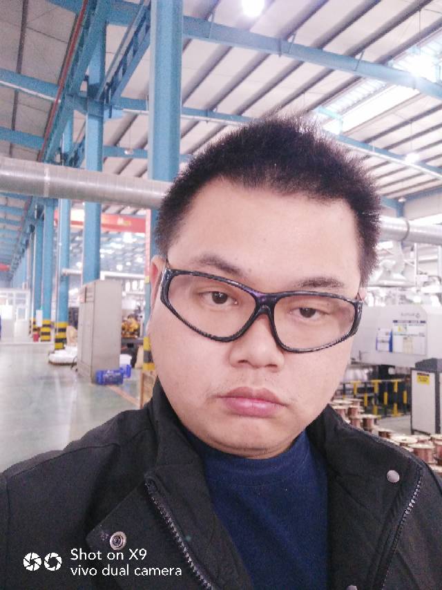 简单头脑的照片