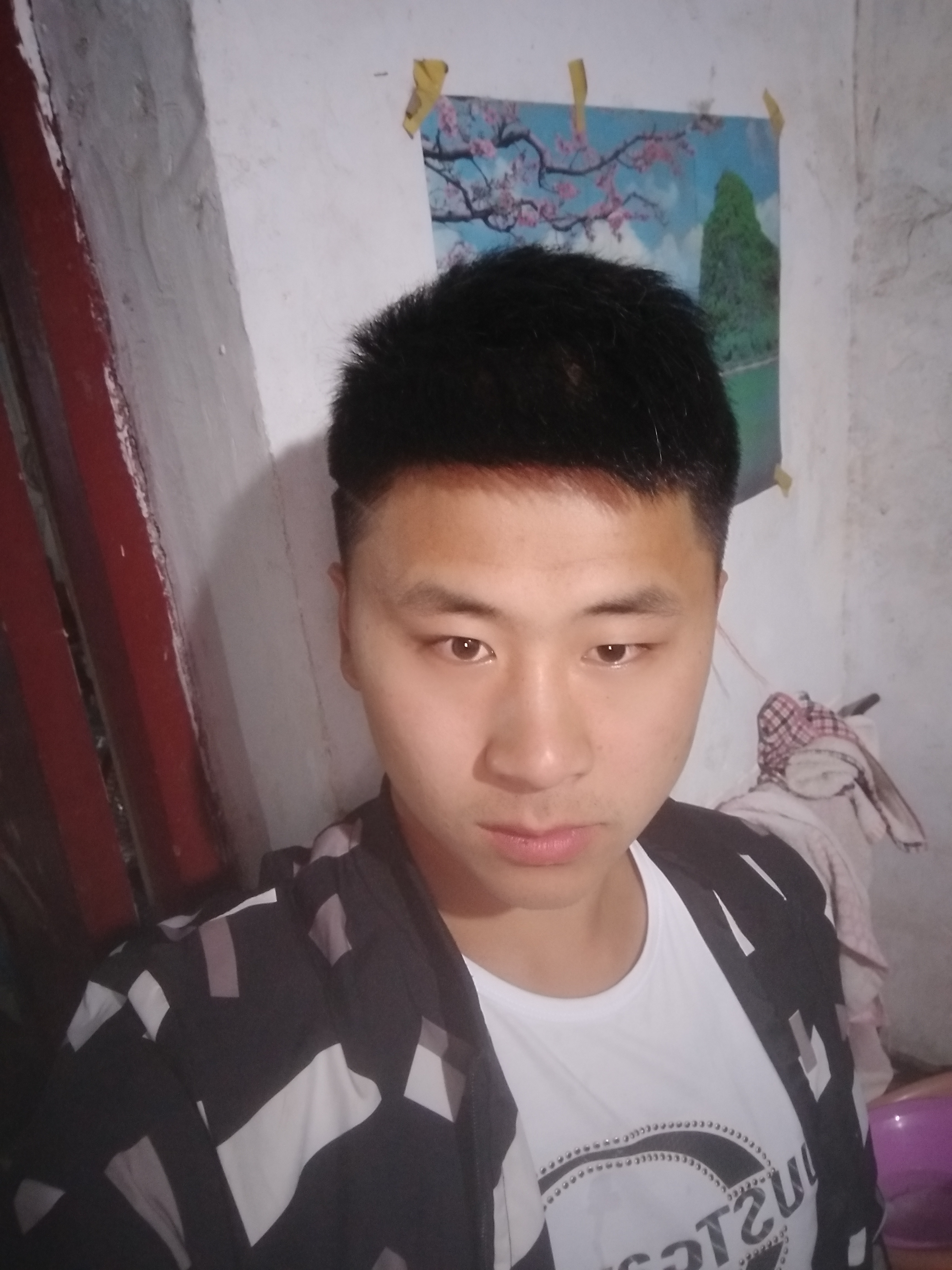 花好月圆？？？的照片
