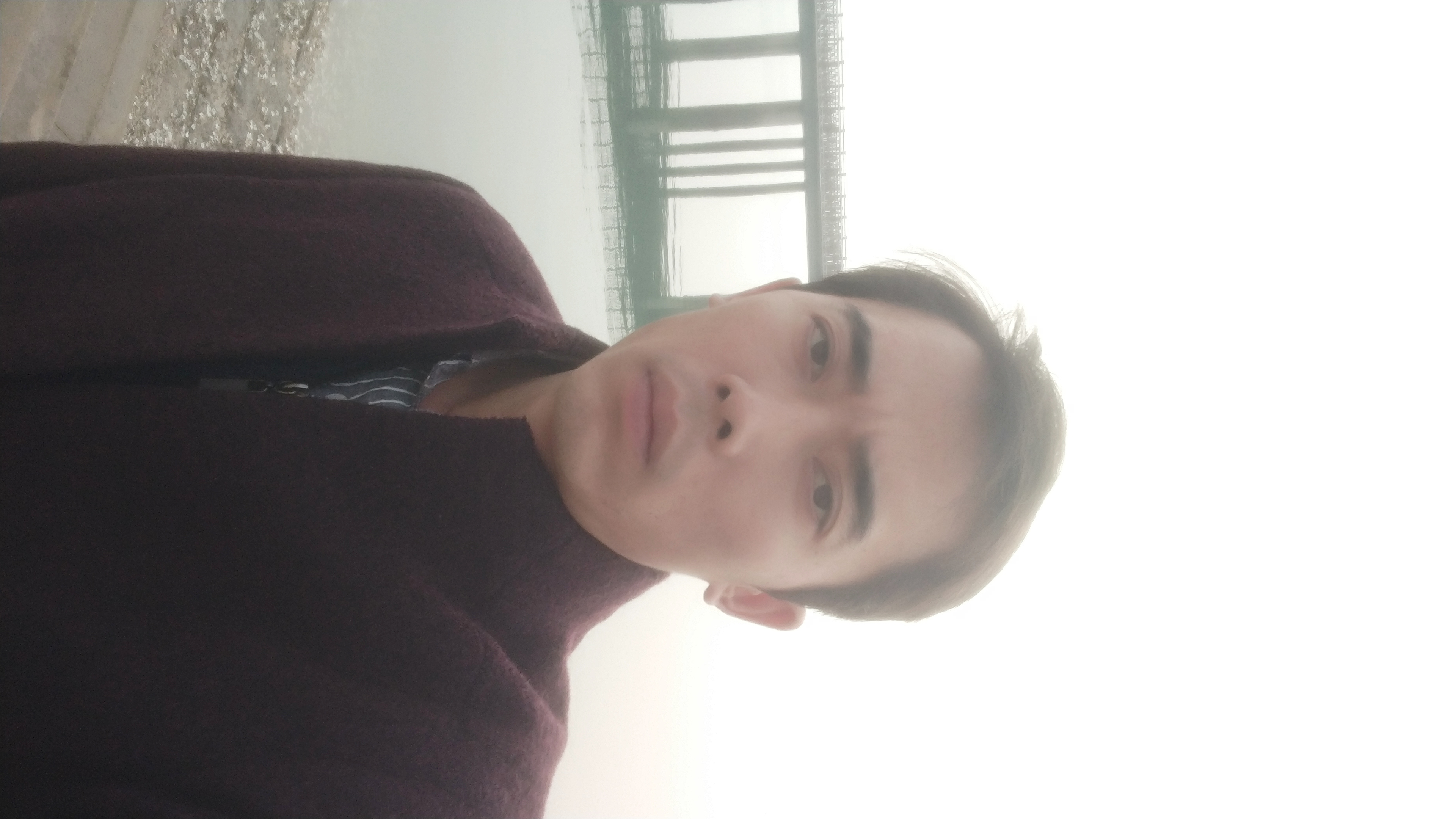 海洋的鱼的照片