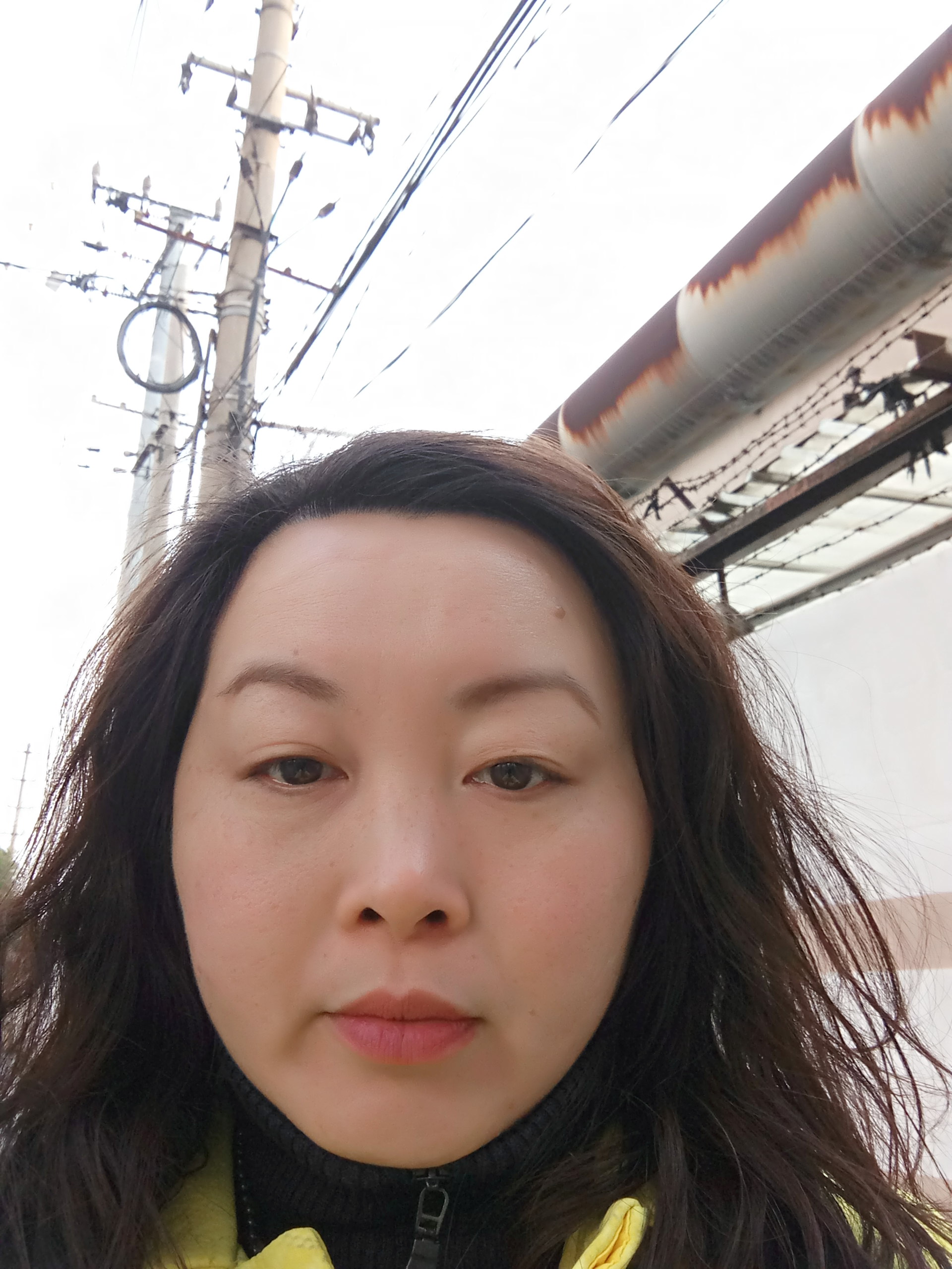 春xx3的照片