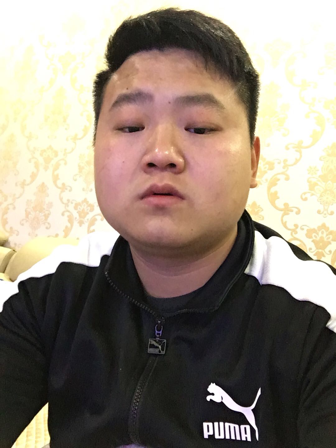 白猫停止会撒娇的照片