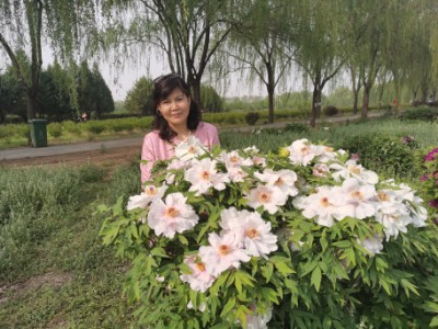 会员813486246的照片