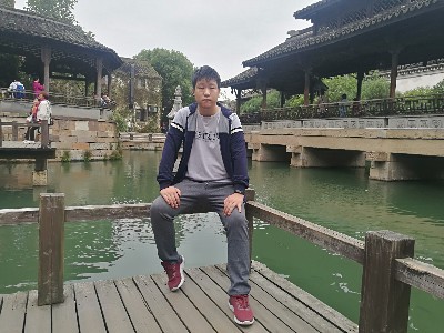 大脸企鹅的照片