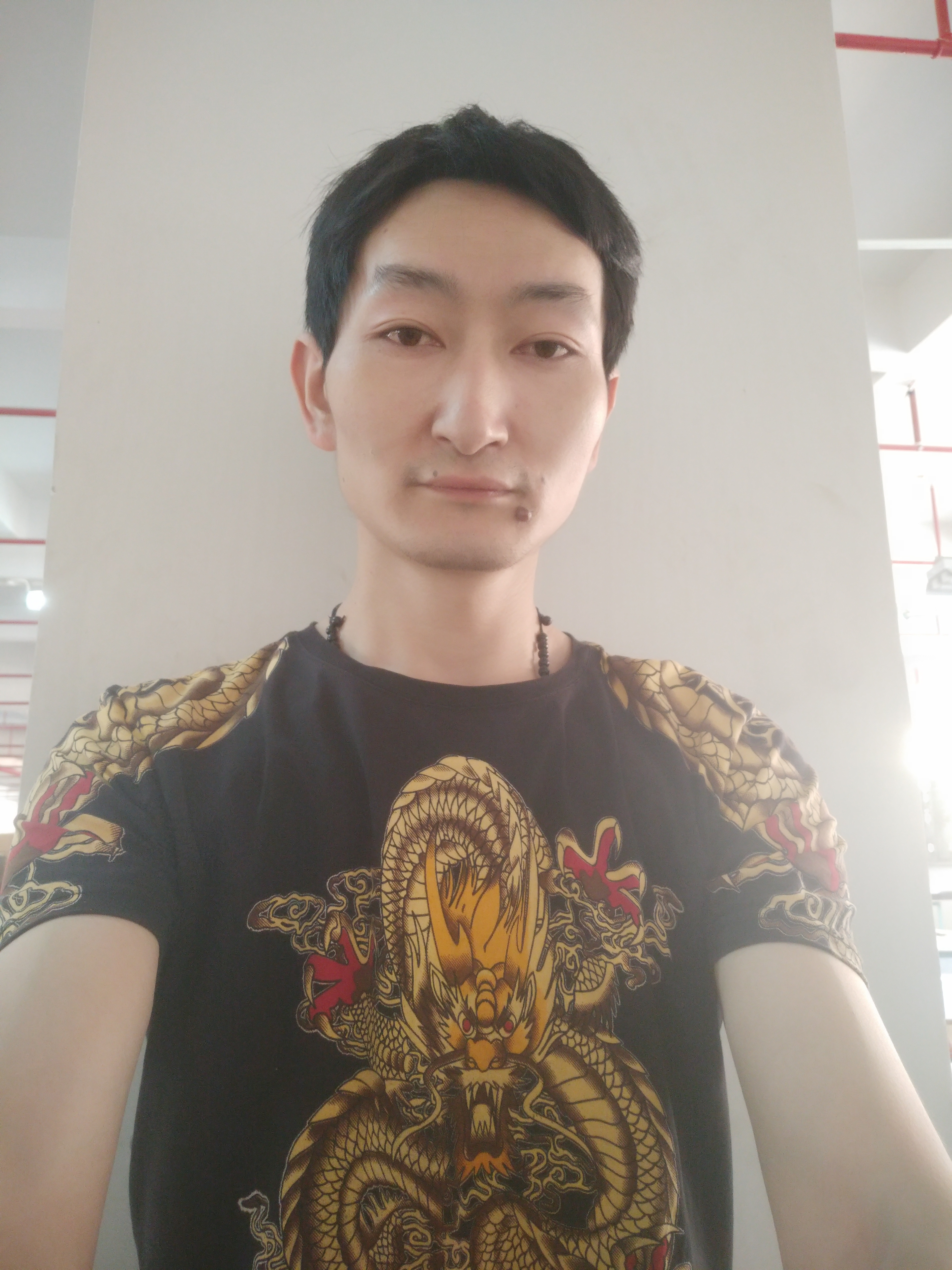 杨六郎的照片