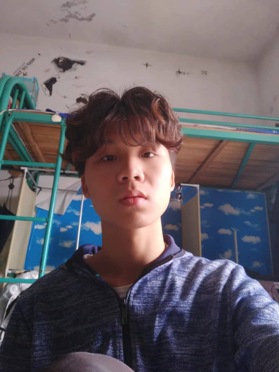 非虎的照片