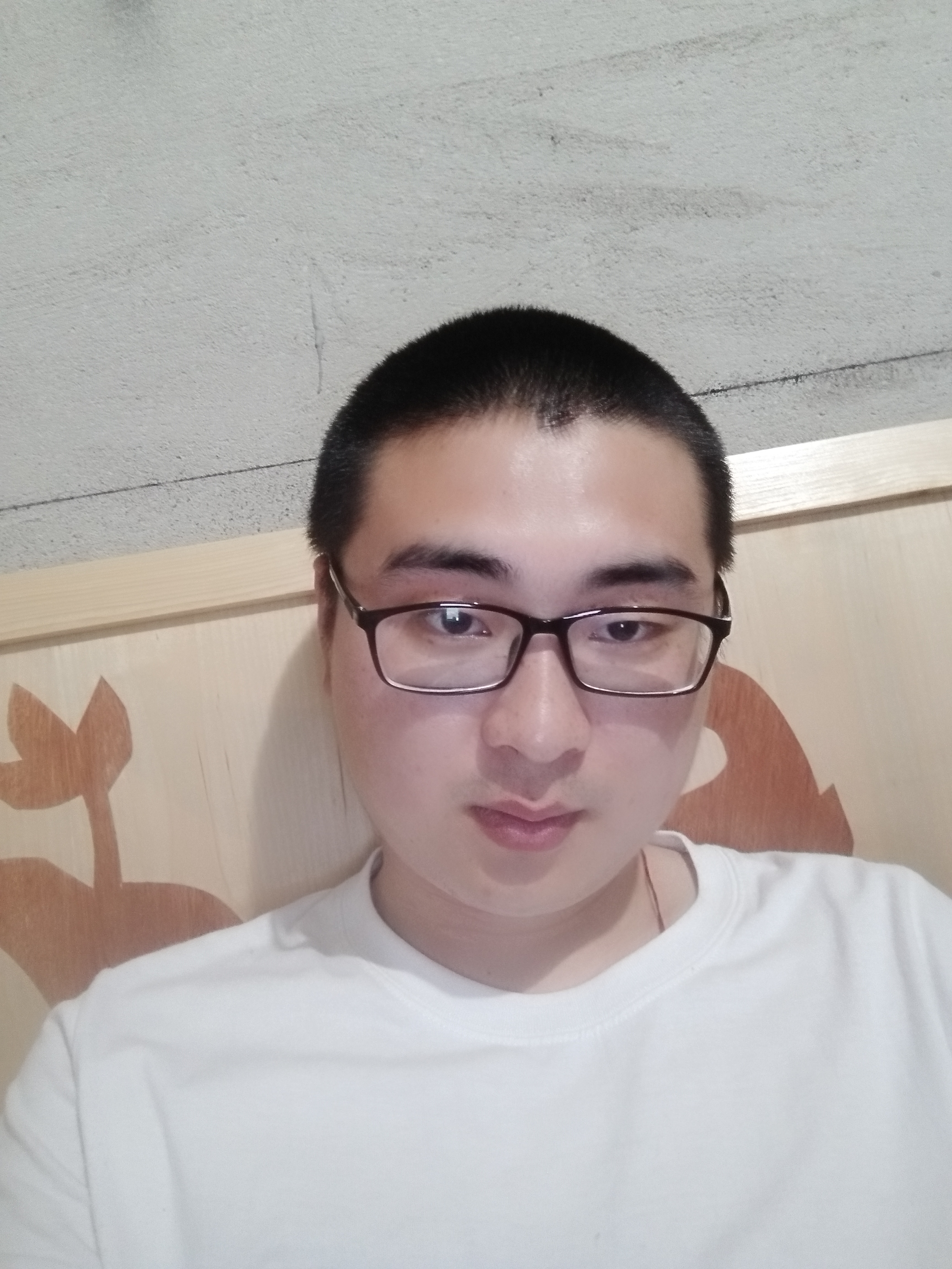 一朝春尽颜老的照片