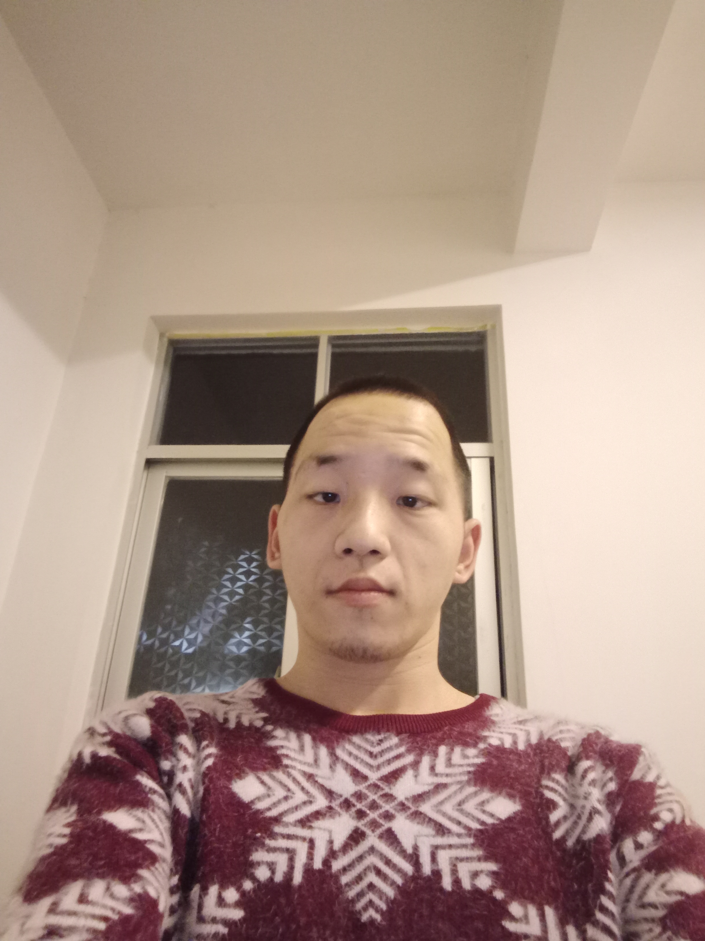 陈菁鸿的照片